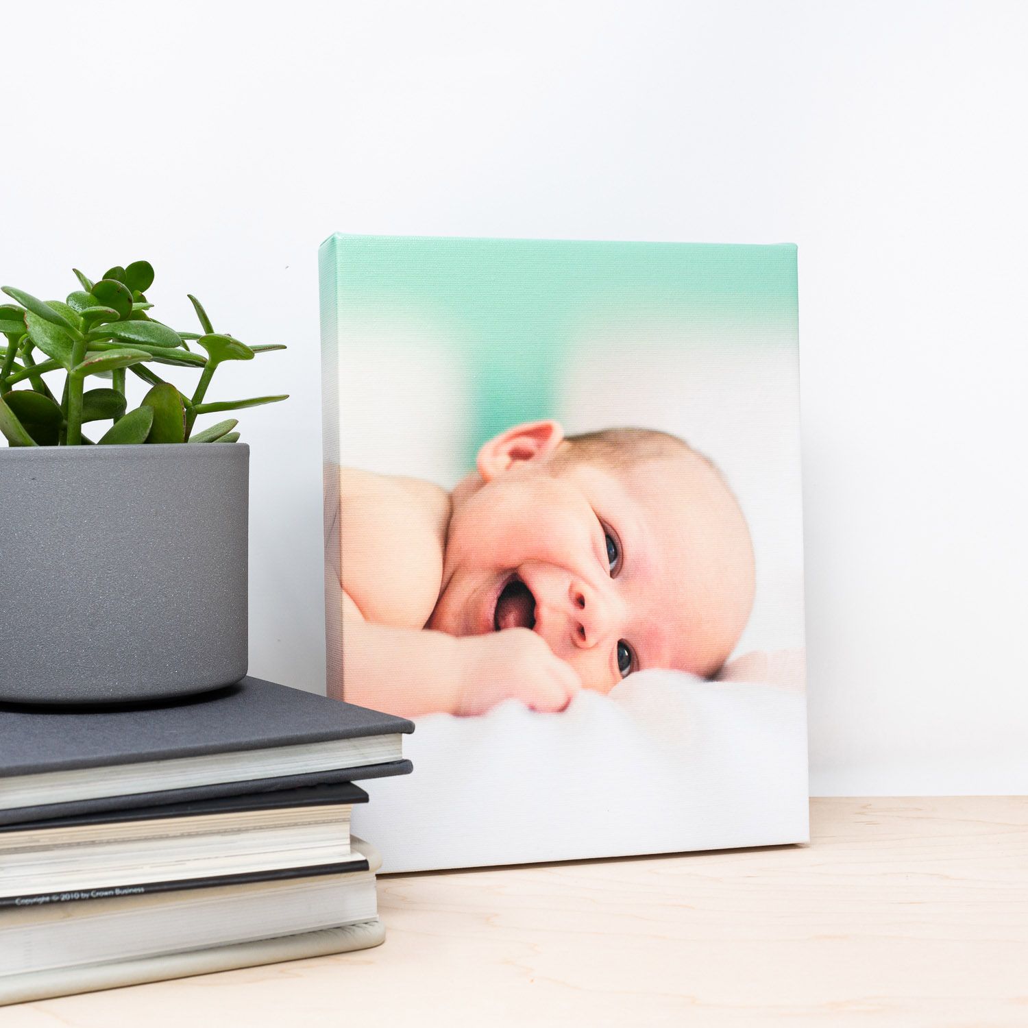 A minimalist desktop scene with a green plant in a gray pot next to white books against a light background.