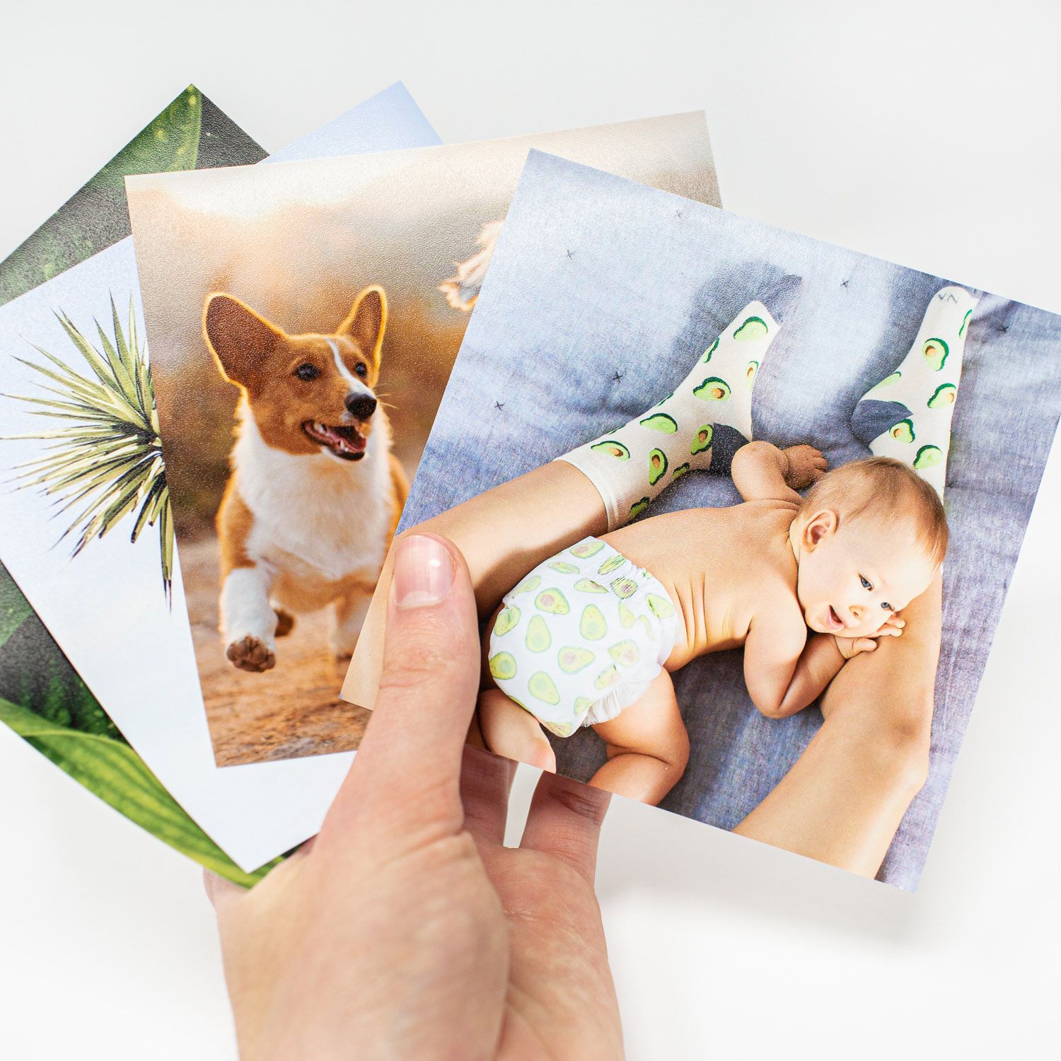 A hand holds a white paper or card against a blurred background with multiple photos spread out.