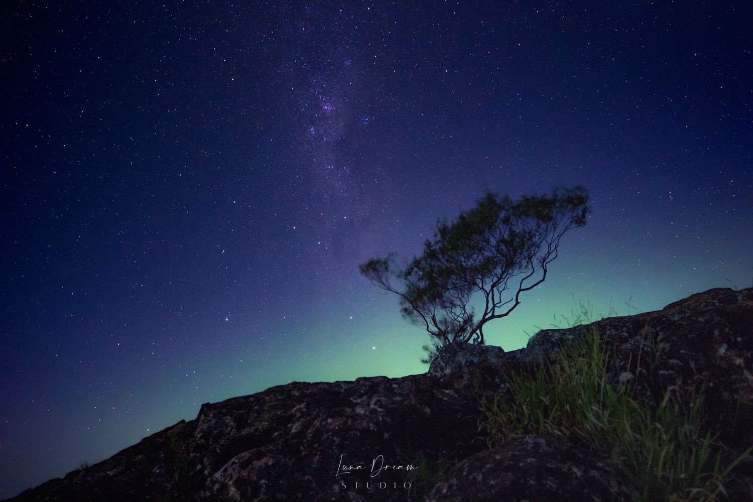 A hill with a tree creates a silhouette for the starry sky background. Glass House Mountains Queensland.