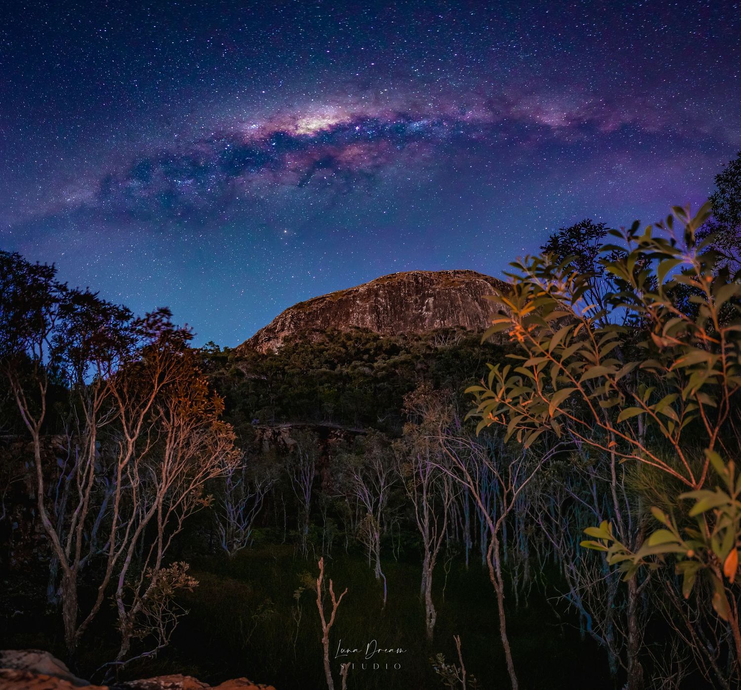 Mt Coolum. Milky Way arch rising above rugged mountains and native trees, showcasing nightscape photography and wild cosmic landscape