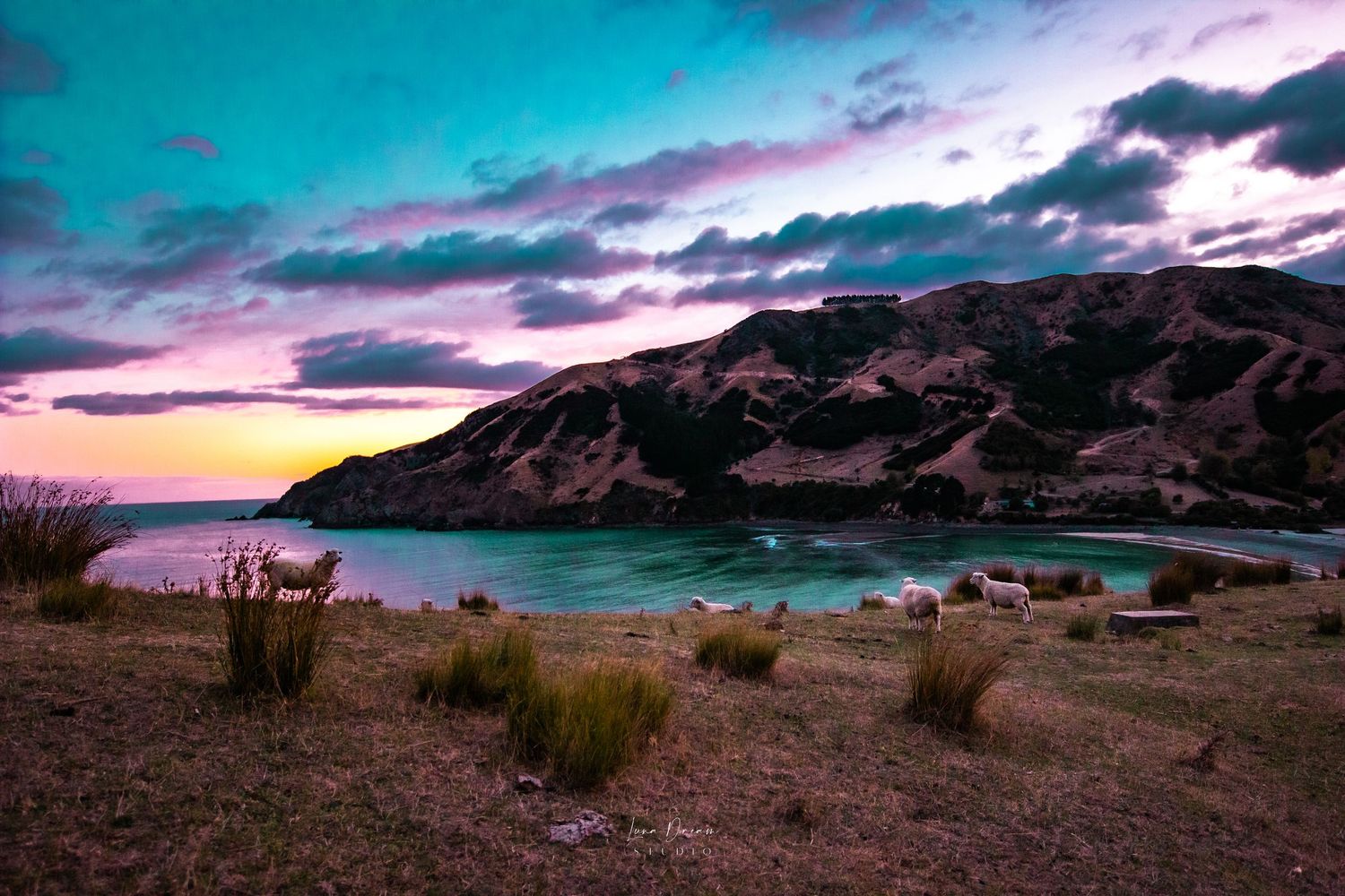 Cable bay New Zealand. A glowing coastal sunset over rugged hills and turquoise water, highlighting vibrant landscapes,