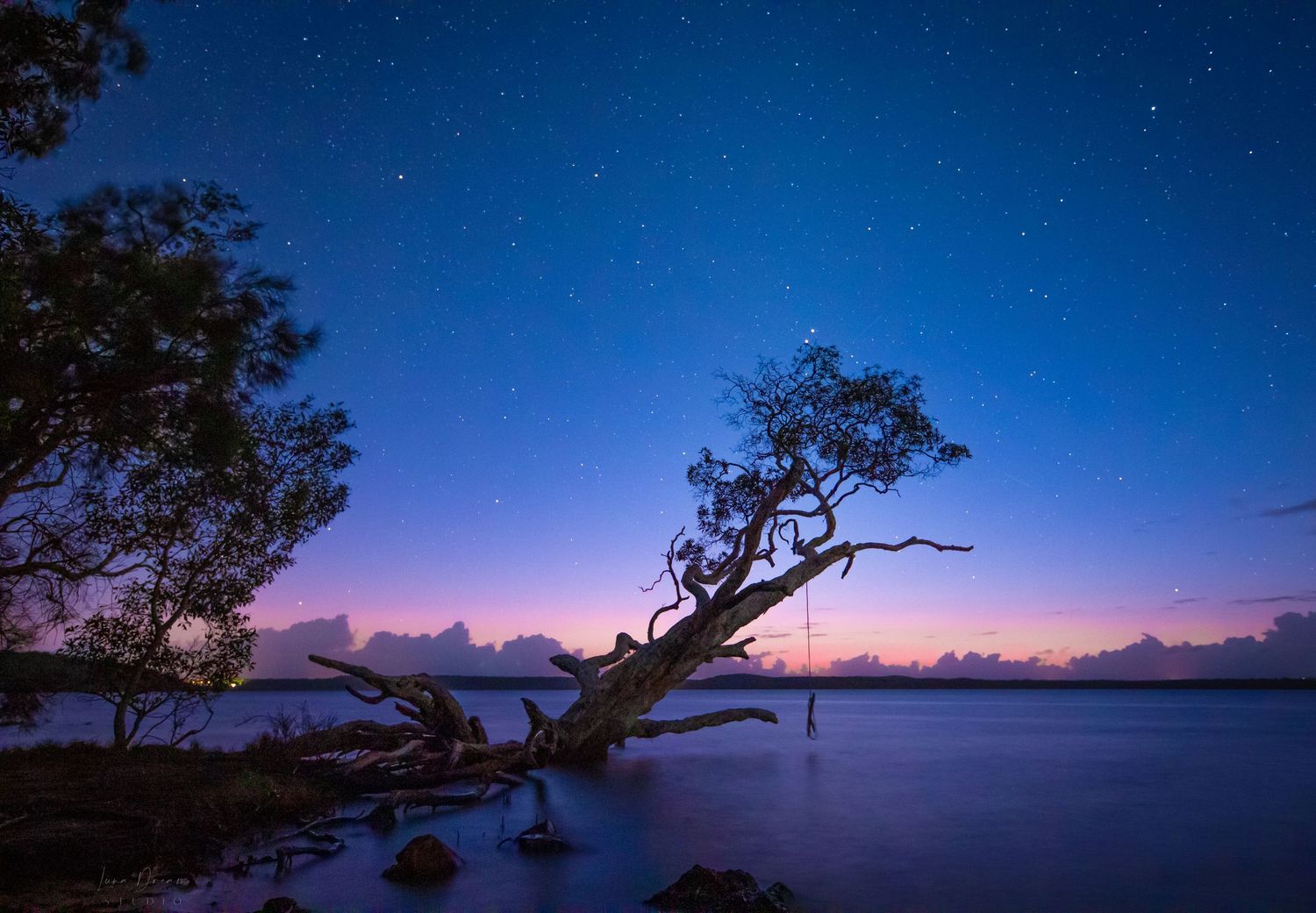 Wayba Lake Queensland Australia. A fallen lakeside tree under a glowing twilight sky, showcasing peaceful nature landscape photography.