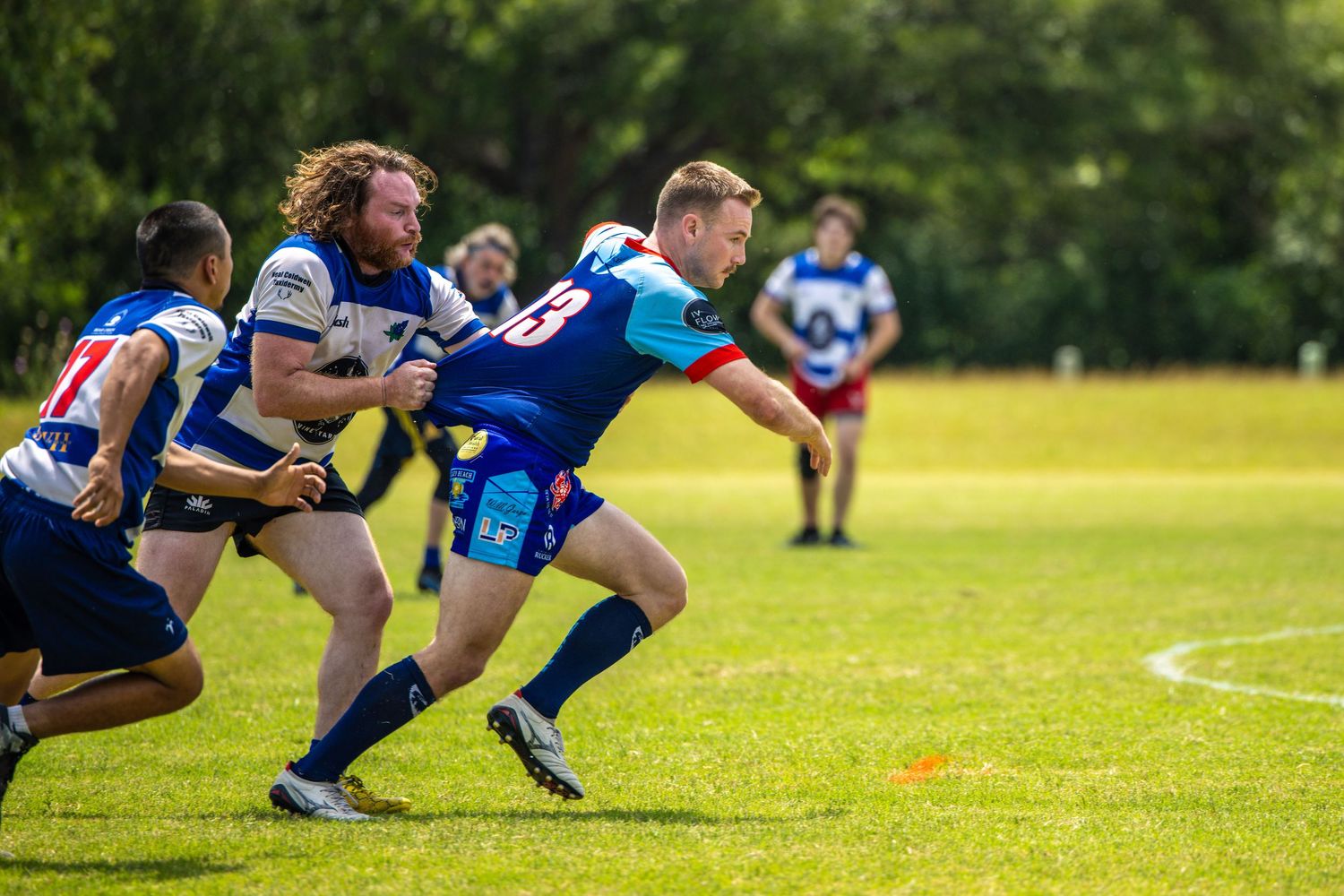 Rugby players in blue and white jerseys compete in an outdoor match on a green grass field during daytime.