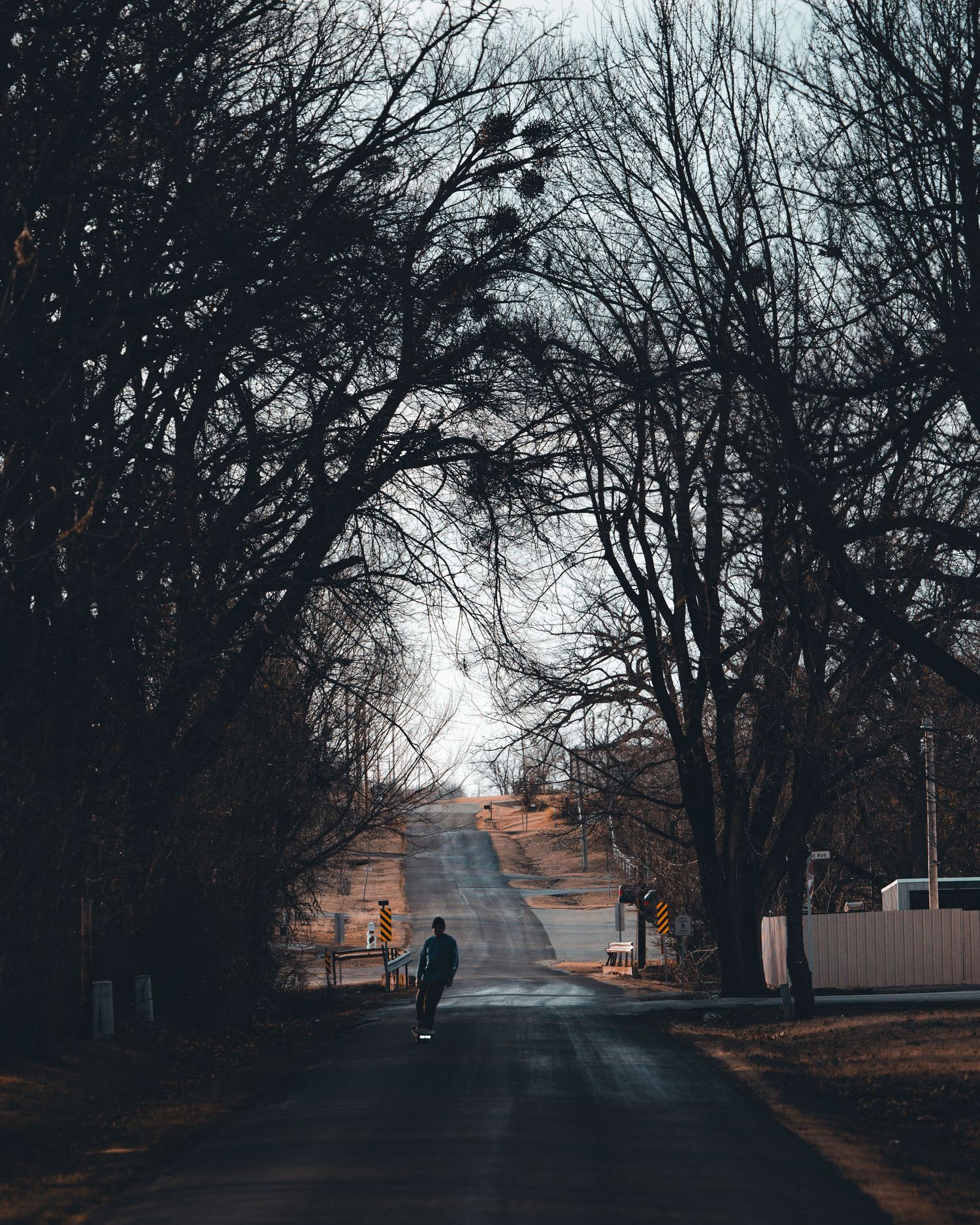 A moody tree-lined street on an overcast day with bare branches creating a dark tunnel effect.