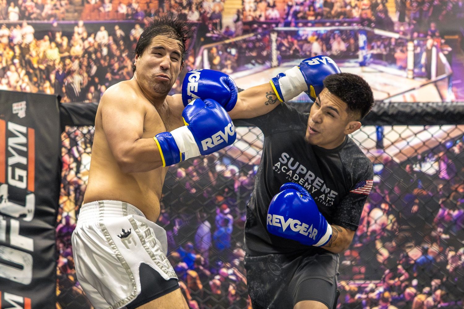 Two male boxers sparring with Revgear blue gloves in a UFC Gym boxing match.