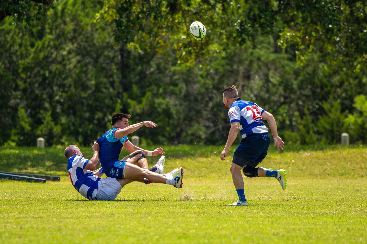 Rugby players compete on a sunny grass field, with one player kicking the ball mid-match during an outdoor game.