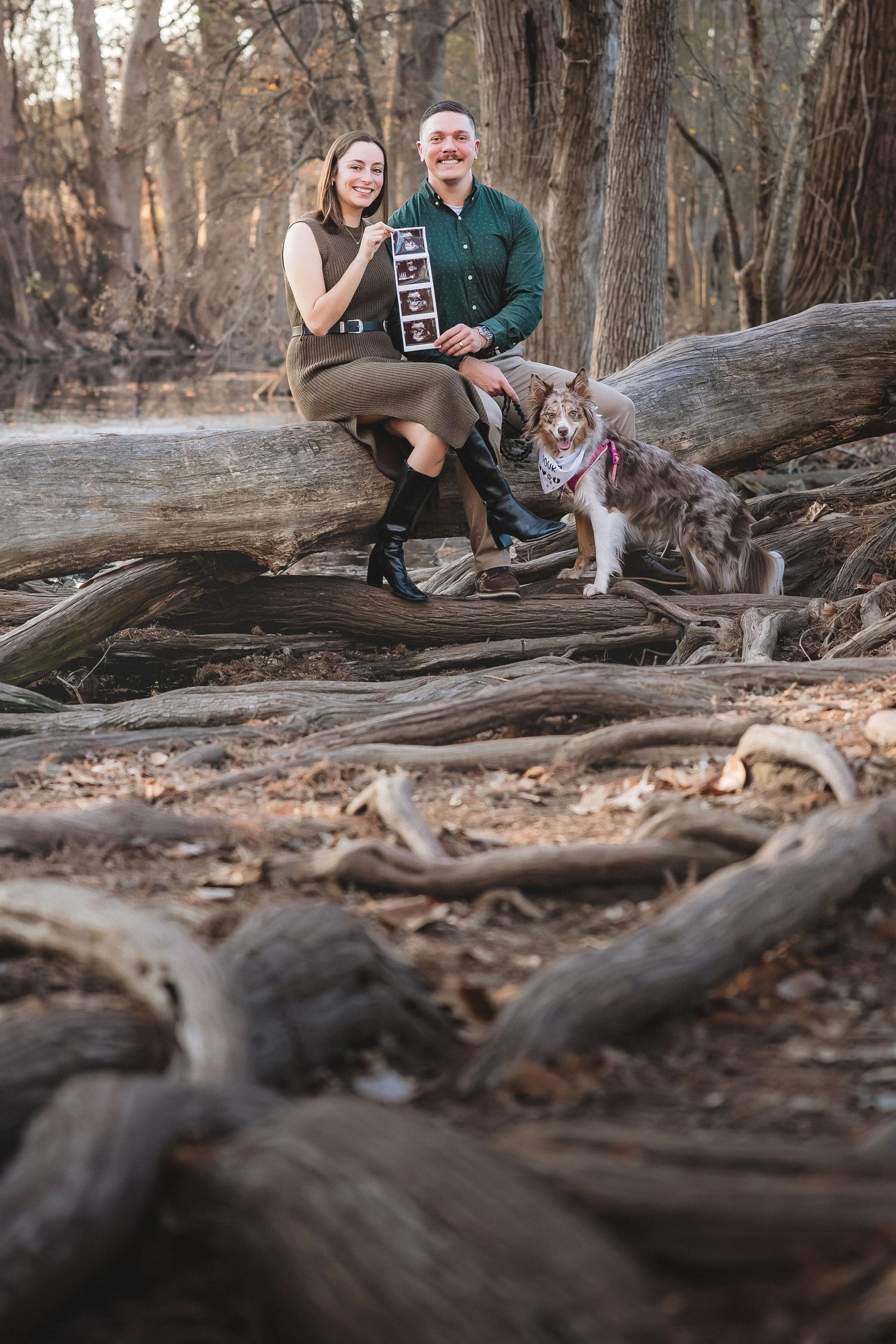 Couple sitting on large tree roots in a wooded area during golden hour with their dog and photos.