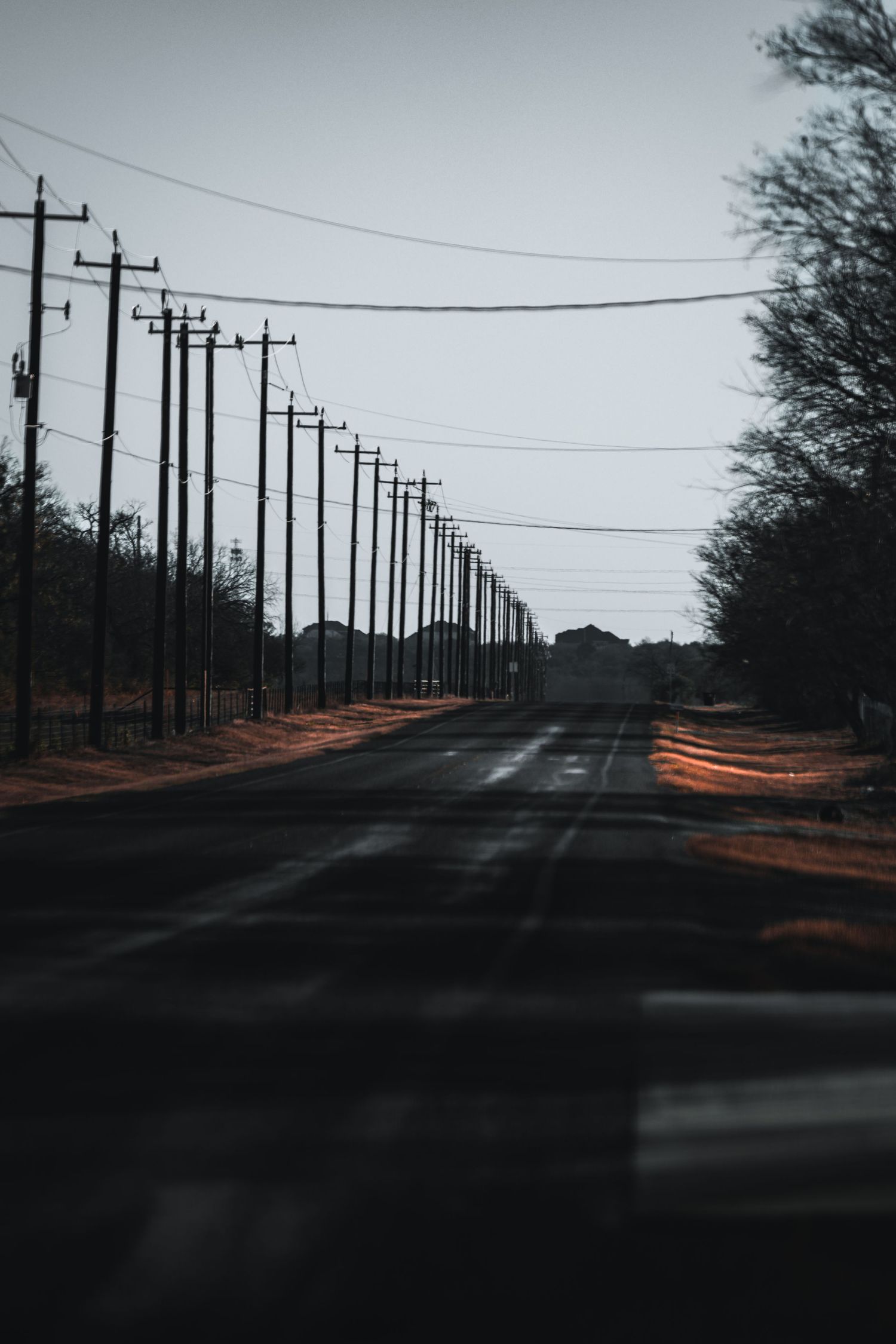 Long road lined with utility poles stretching into the distance at dusk.