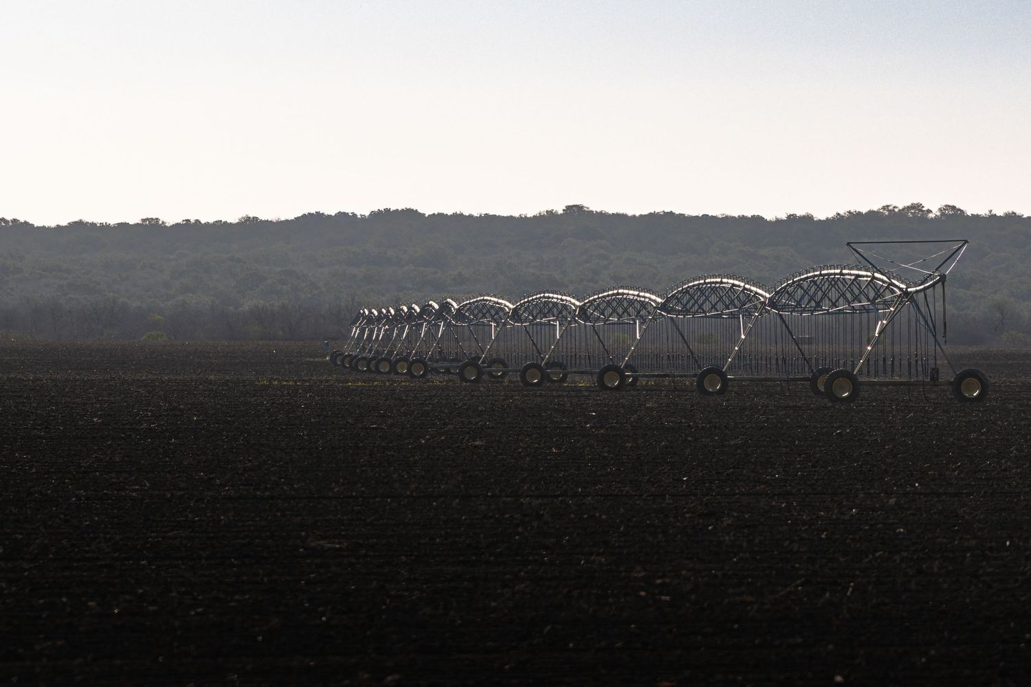 Silhouettes of tall transmission towers line up across a misty rural landscape at dusk.