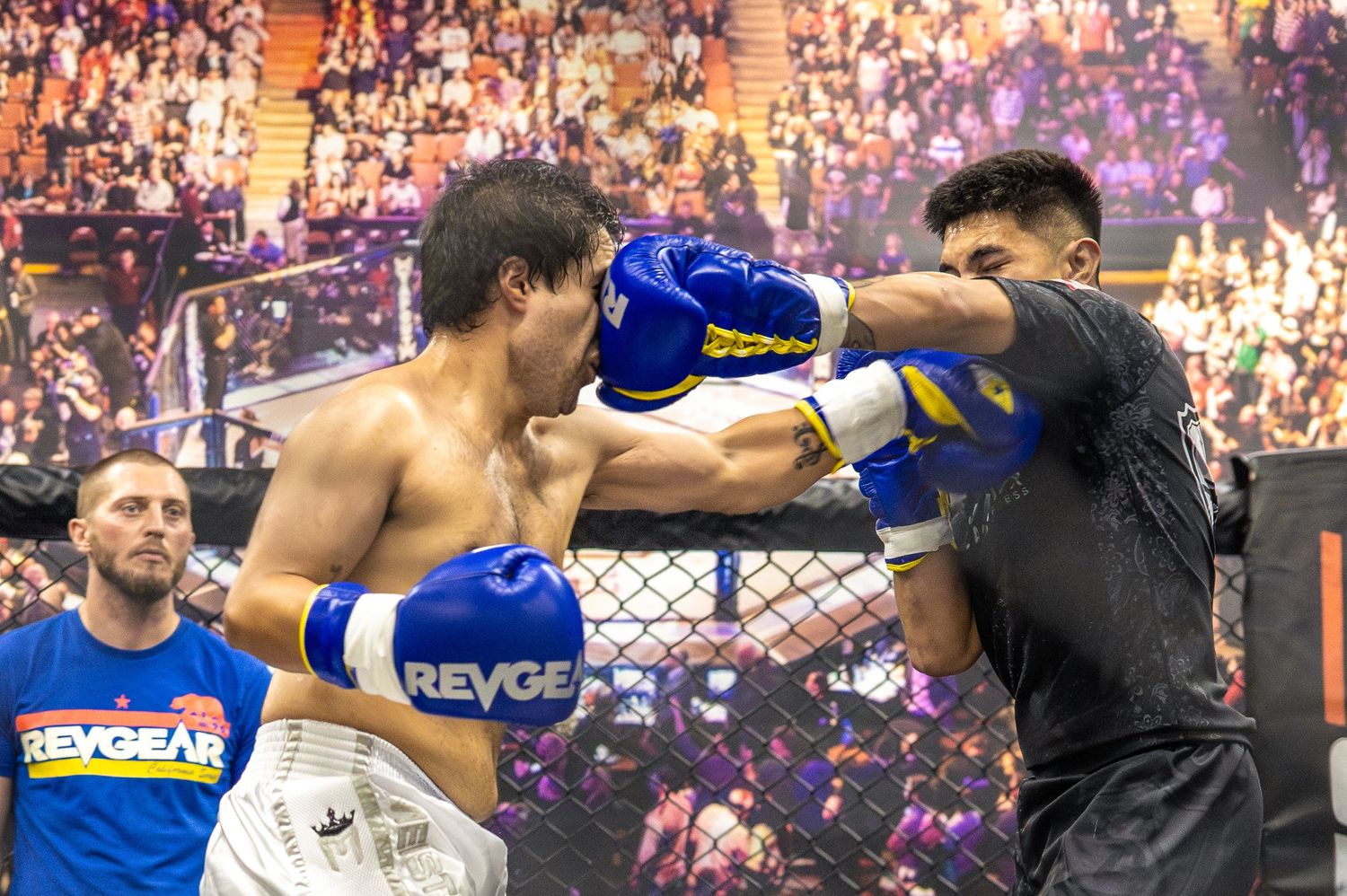 Two MMA fighters exchange punches in a cage match, wearing Revgear gloves before a live crowd.