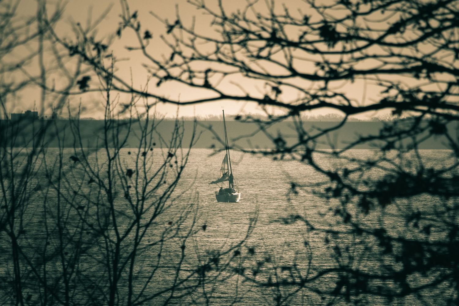 A ski lift chair silhouetted against a moody winter sky with bare tree branches framing the scene.