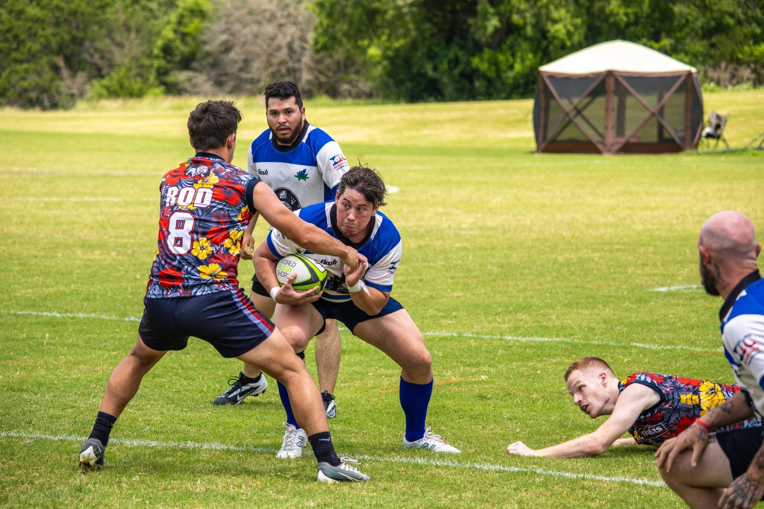Rugby players compete for the ball during an intense outdoor match on a sunny day.