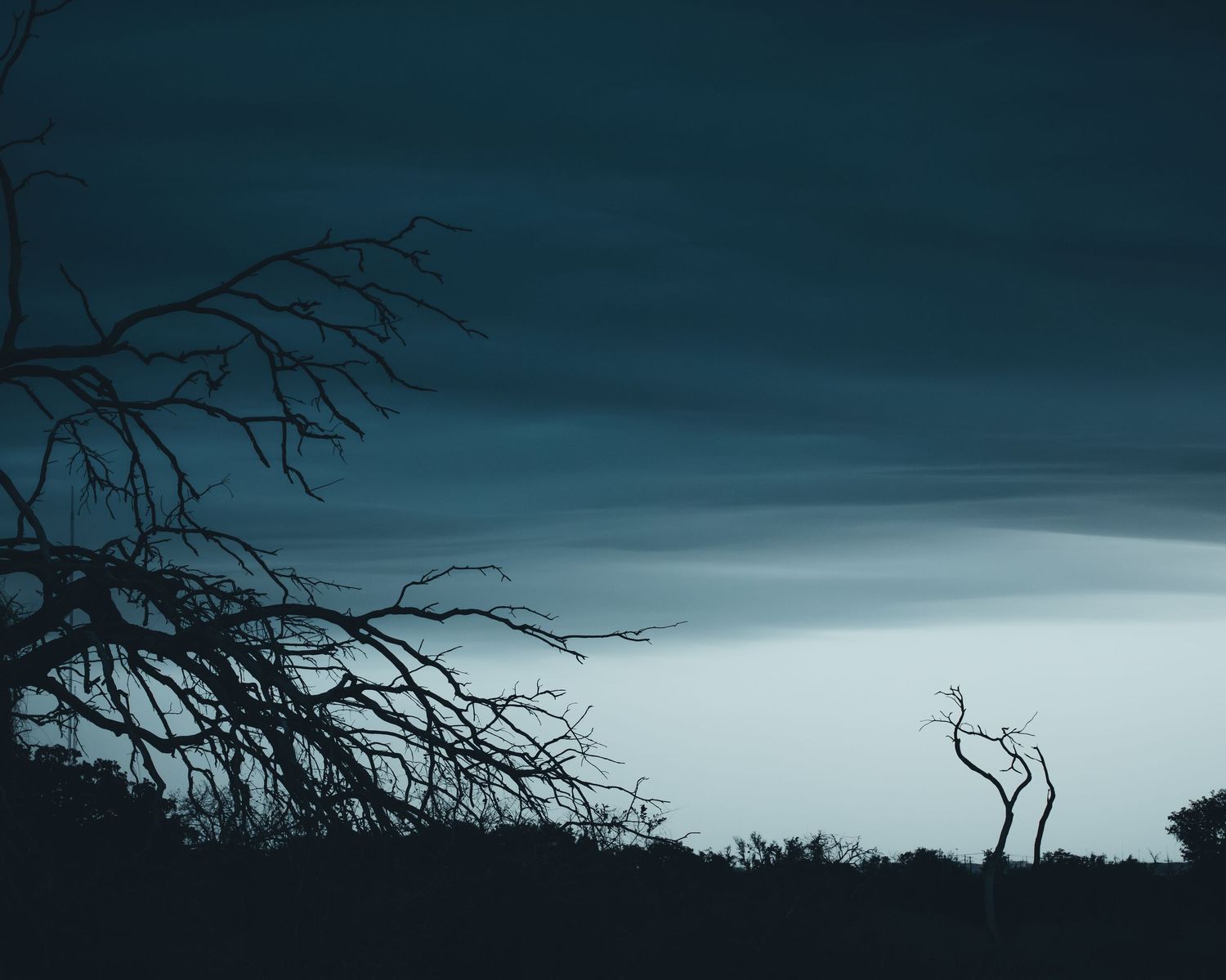 Silhouetted tree branches against a moody dark blue stormy sky create a dramatic natural backdrop.
