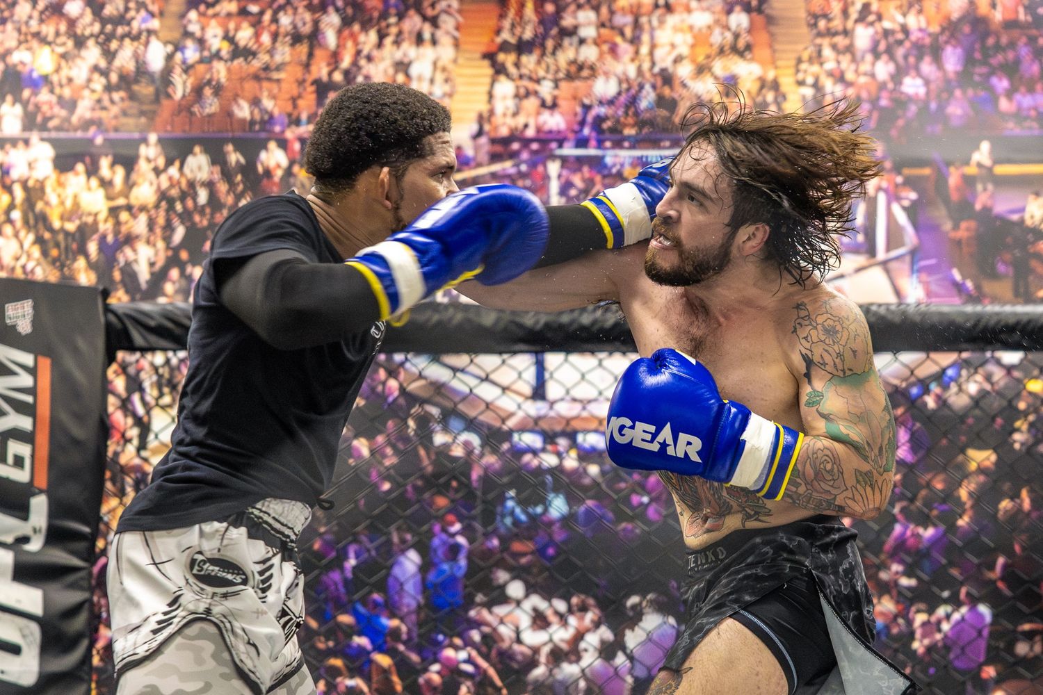 Two MMA fighters exchange punches in a cage match, wearing blue gloves during an intense combat sports event.