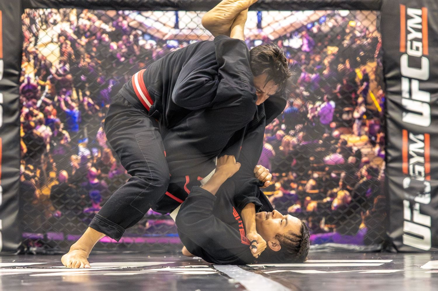 Two BJJ fighters grappling on the mat during a UFC Gym competition, one athlete executing a ground control technique.