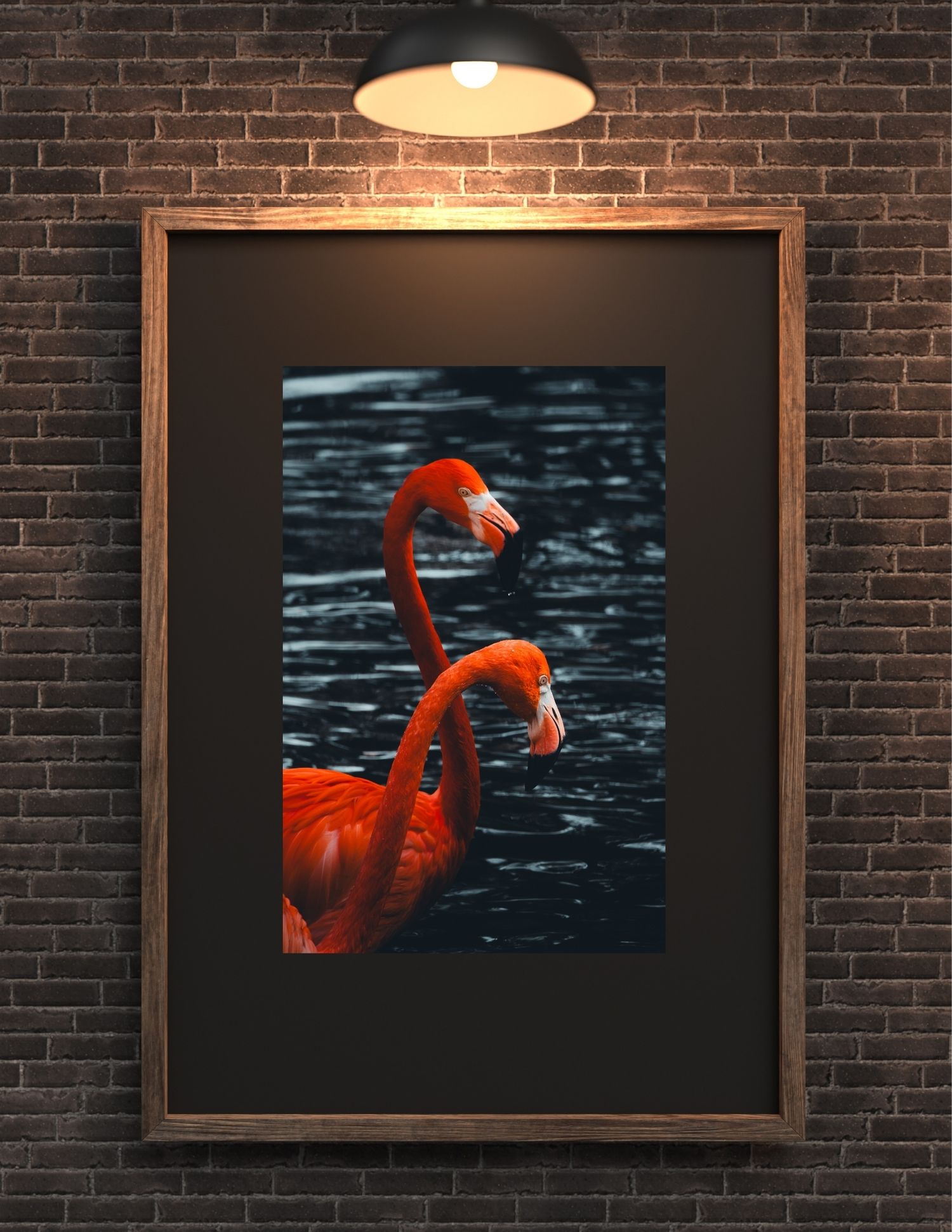 A series of framed photographs showing vibrant red flamingos against dark water mounted on a brick wall with overhead lighting.