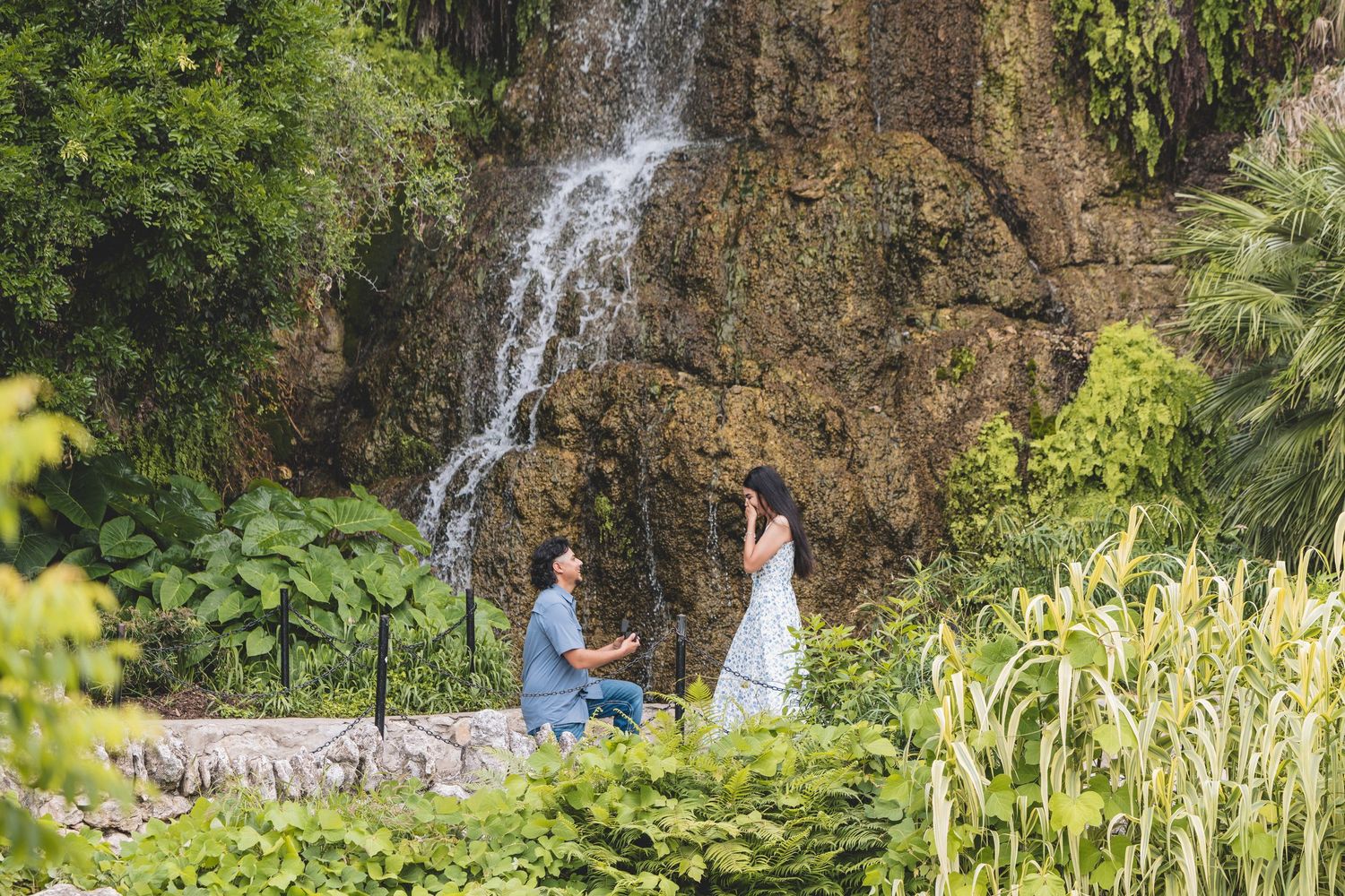 Man proposing to woman in white dress by a lush waterfall surrounded by tropical greenery.