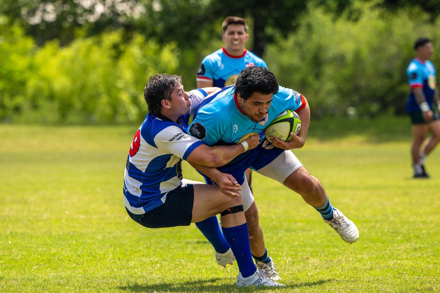 Rugby players compete in an intense tackle during an outdoor match on a green grass field.