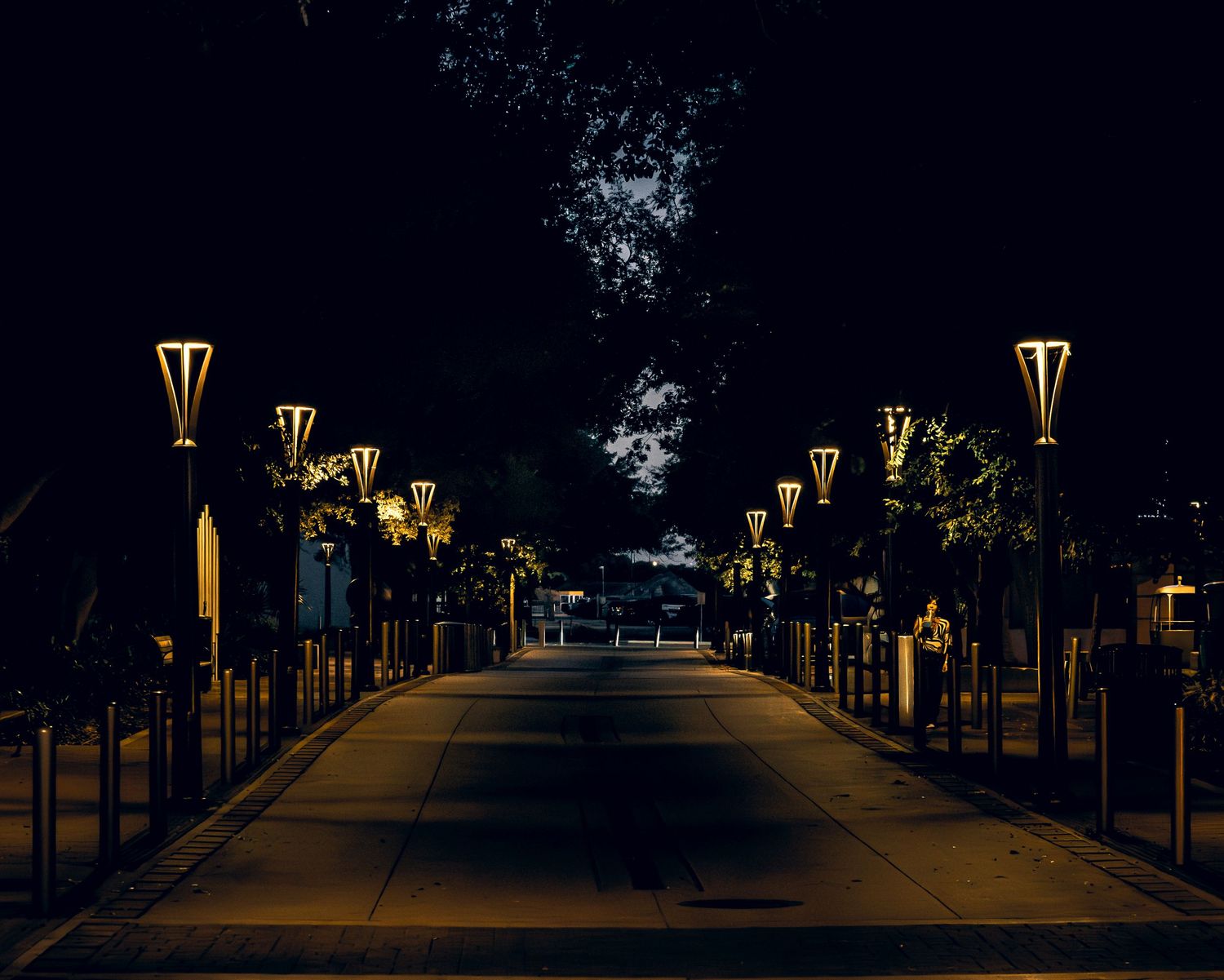 Night street lined with illuminated lamp posts leading into darkness.