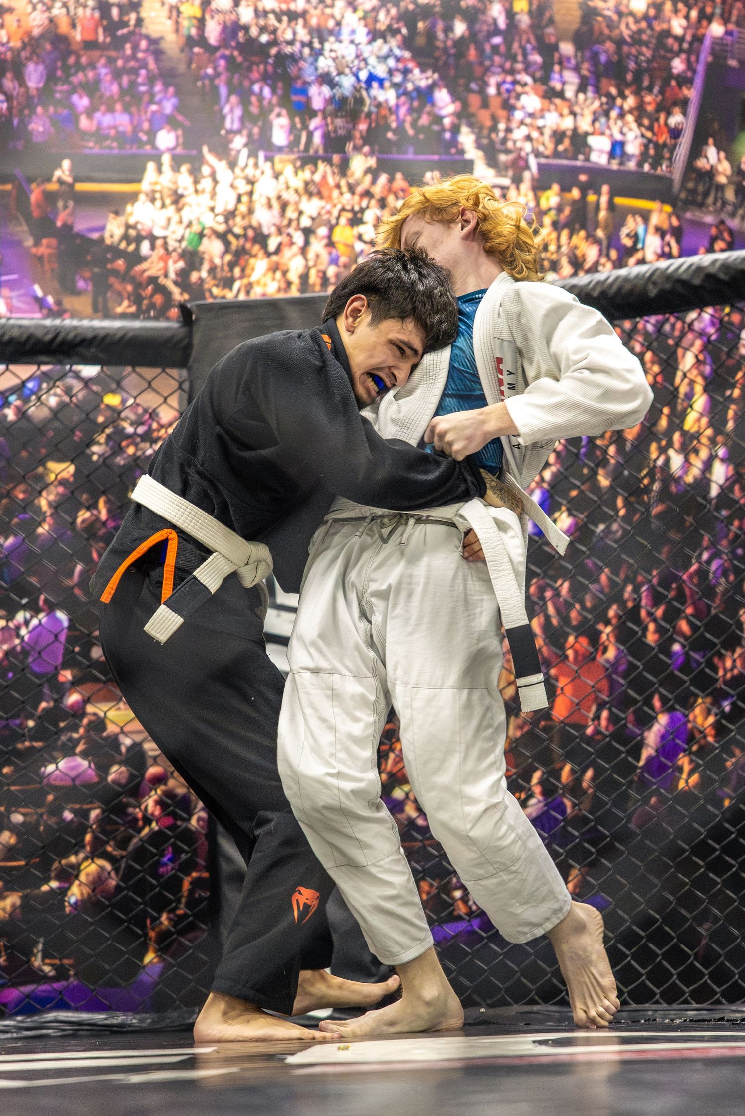 Two BJJ competitors grapple in a cage during a martial arts tournament with a crowd watching in the background.