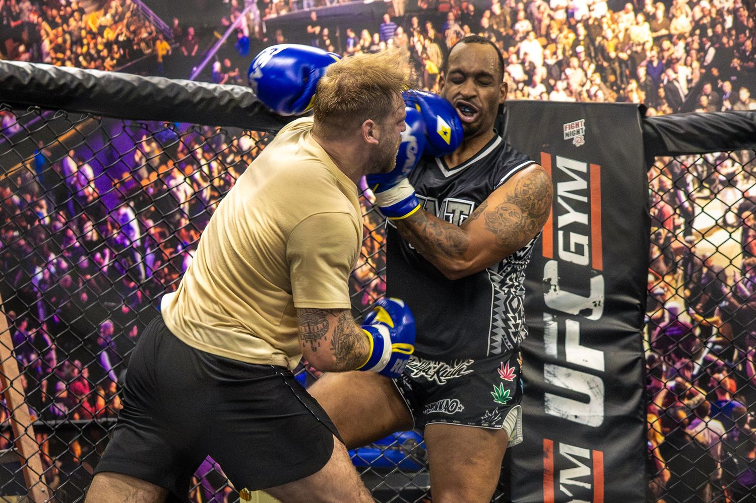 Two fighters compete in a UFC Gym boxing match inside a cage, wearing blue gloves during an intense bout.