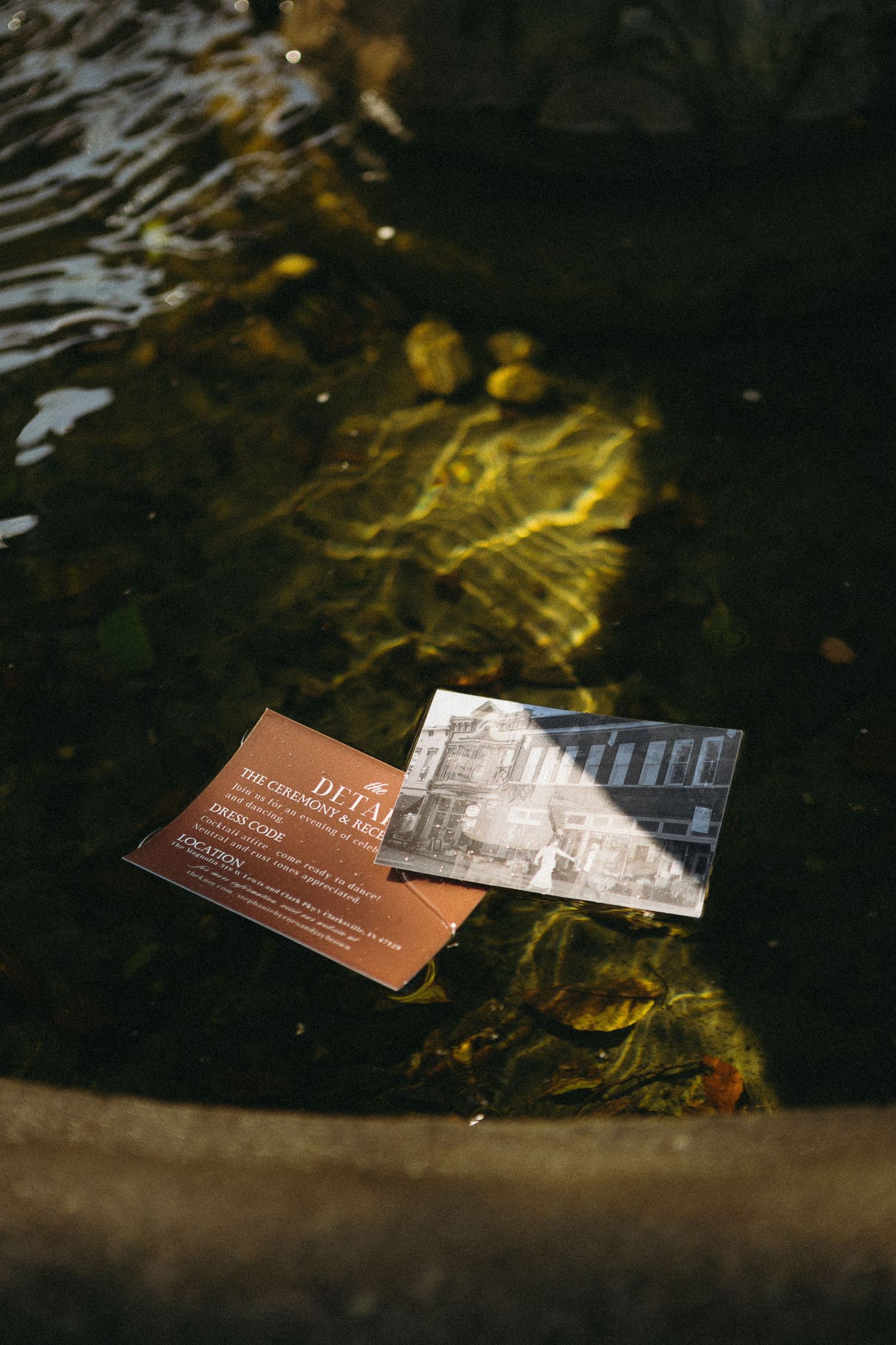 Brown business cards floating on rippling water with golden reflections.