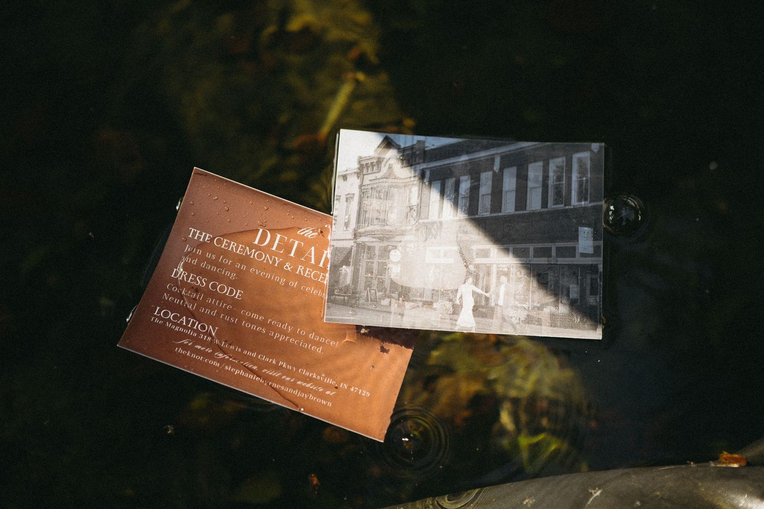 Business cards scattered on a reflective surface with natural lighting and shadows.