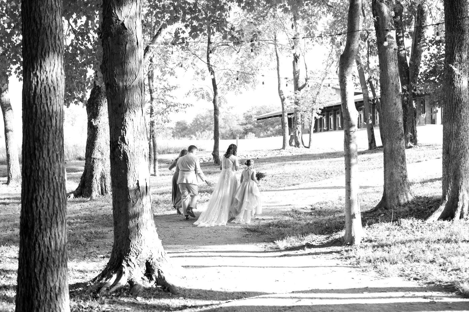 Black and white panoramic view of a wooded park area with scattered trees.