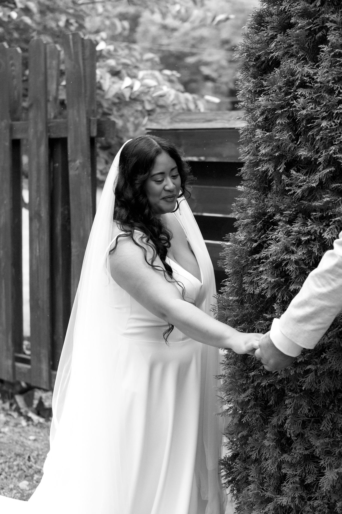 A bride in a white wedding dress reaches toward someone behind an evergreen bush in this black and white photograph.
