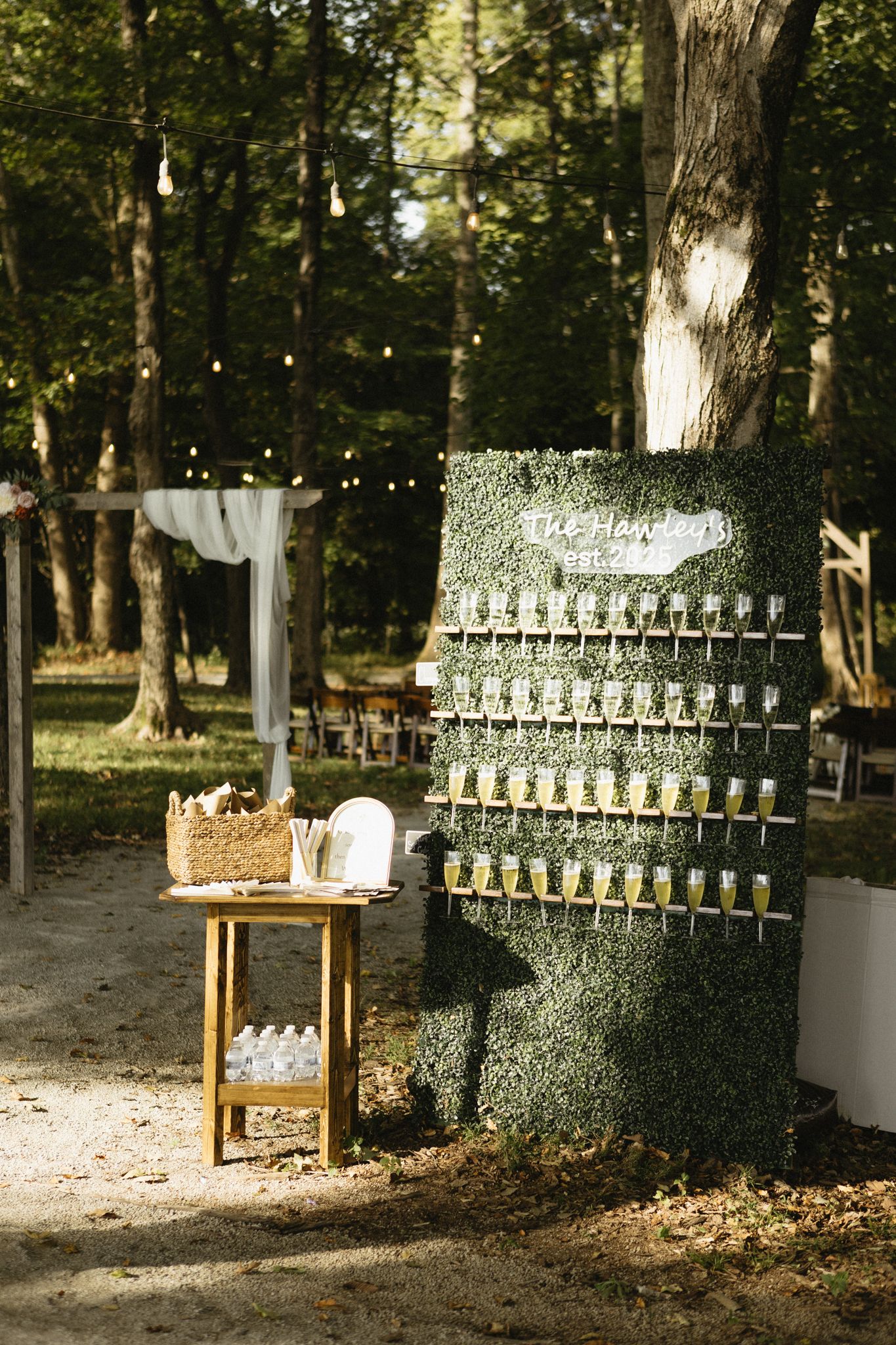 Rustic outdoor wedding seating chart display with mason jars and string lights in a wooded setting.