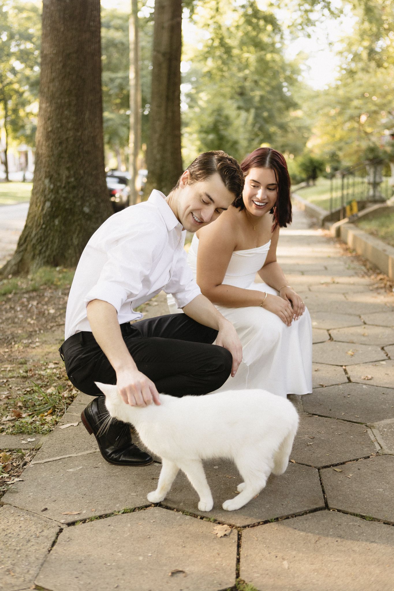 A couple in formal attire crouches down to pet a friendly white cat on a stone pathway in a park setting.