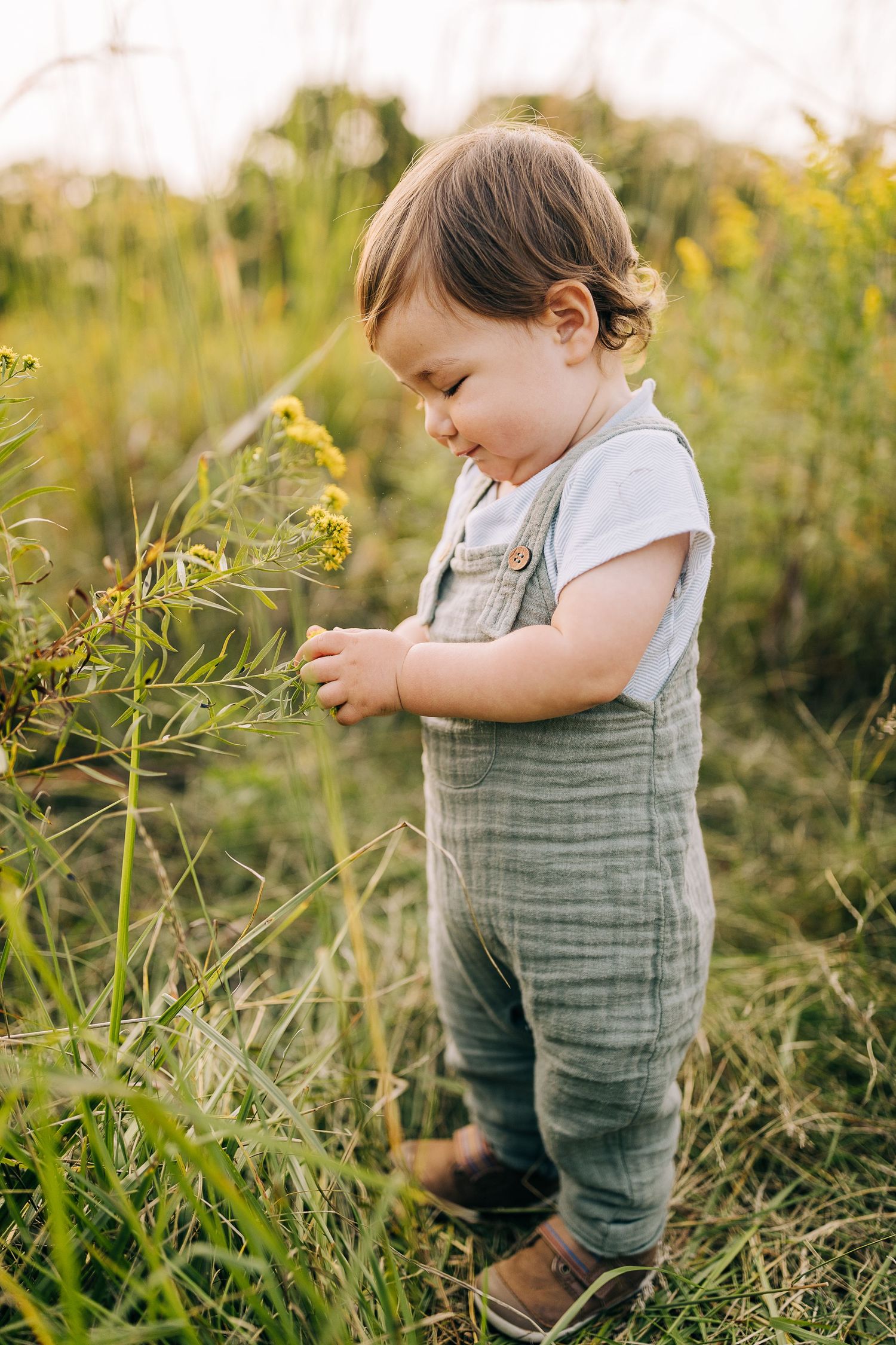 Young boy in a grassy field with wildflowers during the summertime.