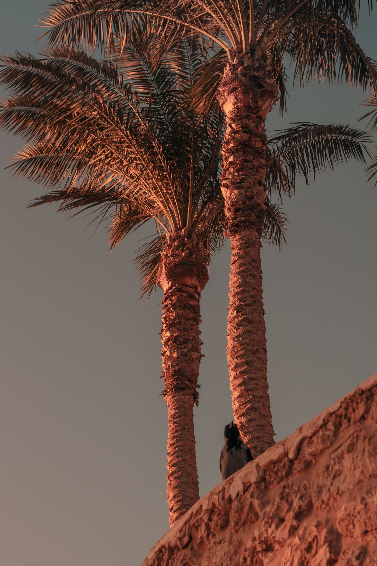 Nature photography