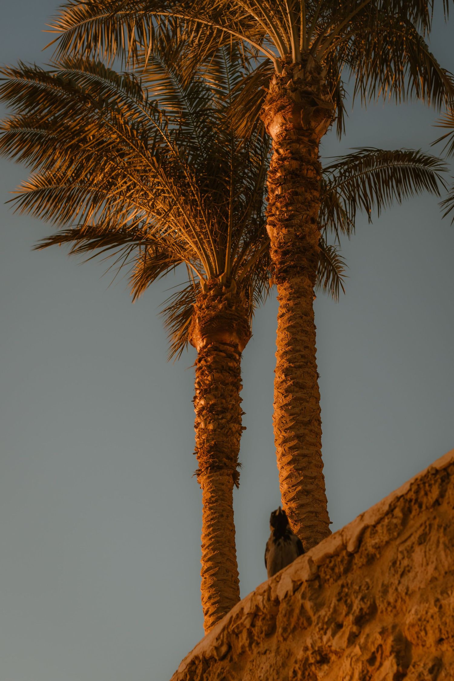 Elegant resort design captured at sunset
