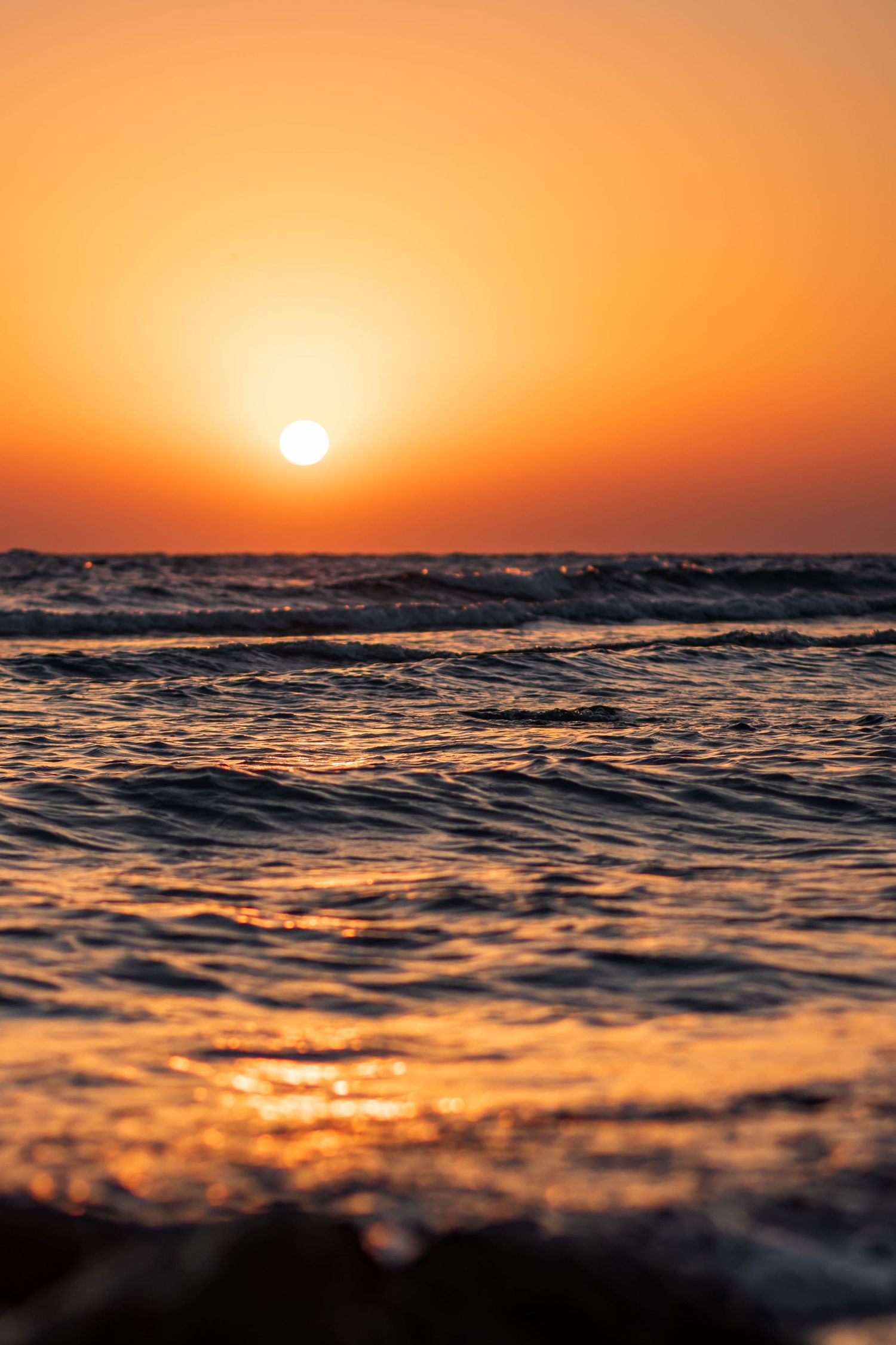 Luxury resort photography showcasing coastal living