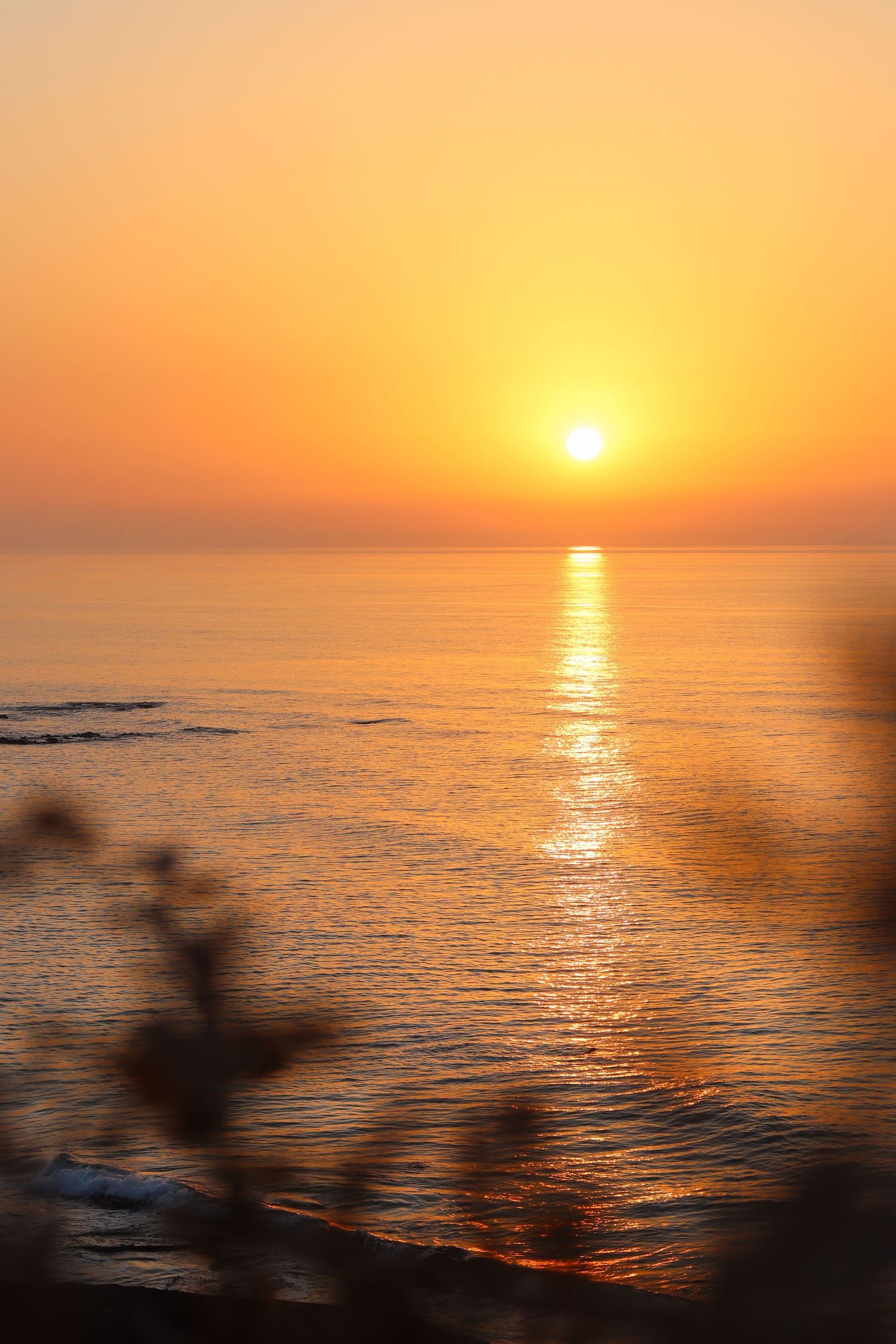 sunrise and sunset photography