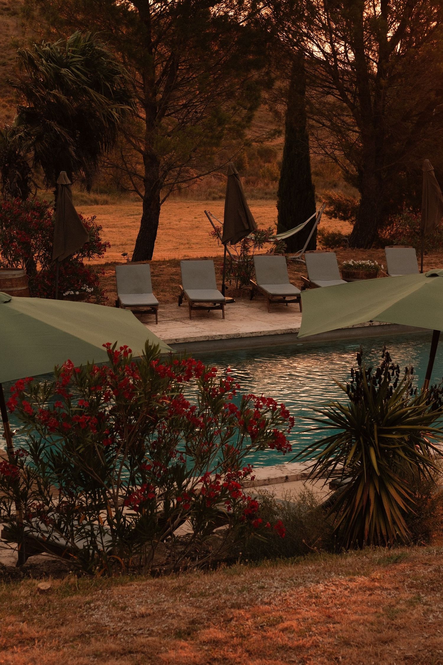 Photography of a domaine in the south of france