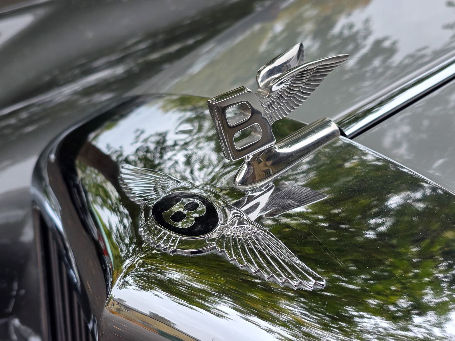 Close-up view of a Bentley hood ornament showing the iconic flying B mascot against a blurred green background.