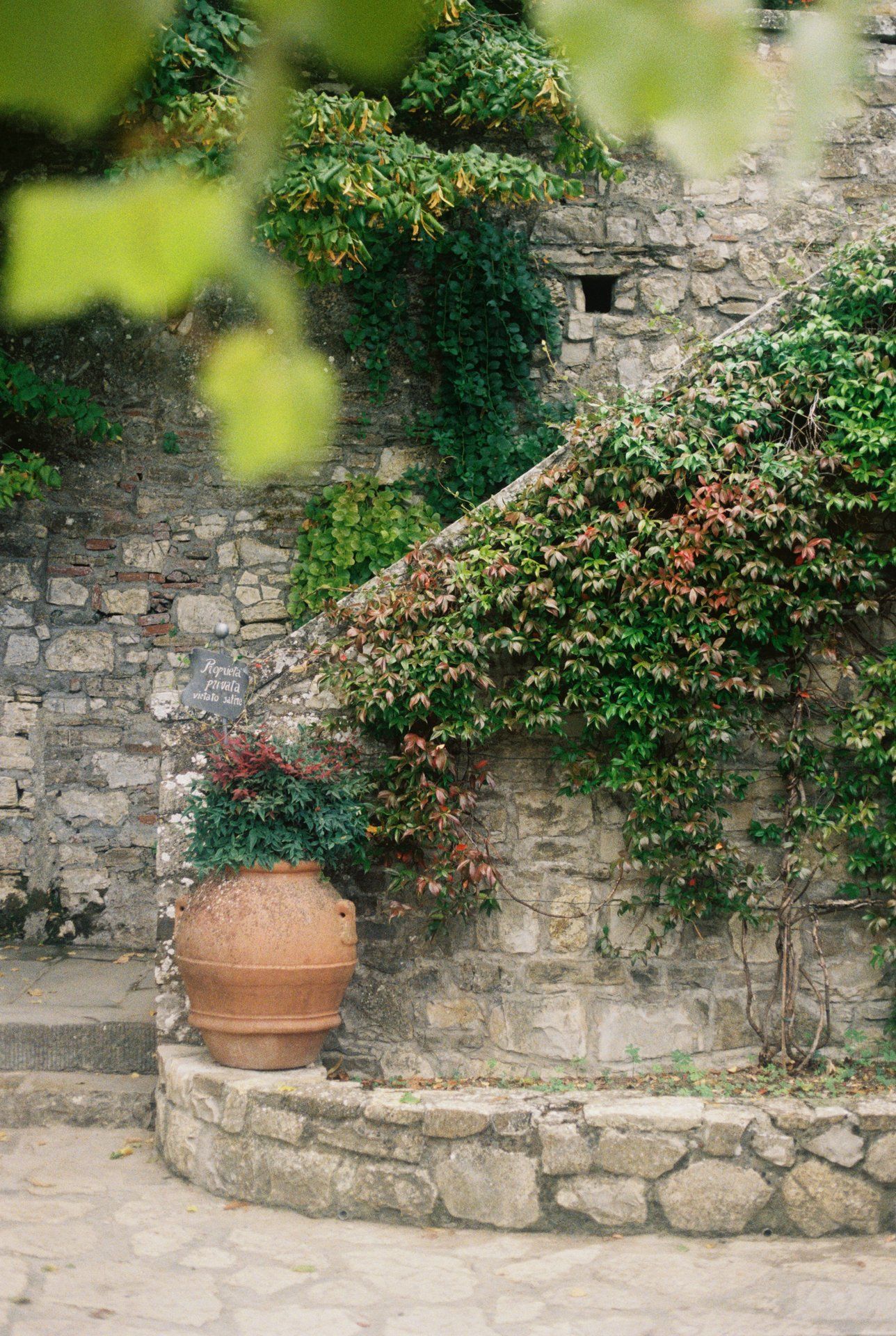 Rustic stone steps adorned with clay pots and climbing plants against an ancient stone wall.