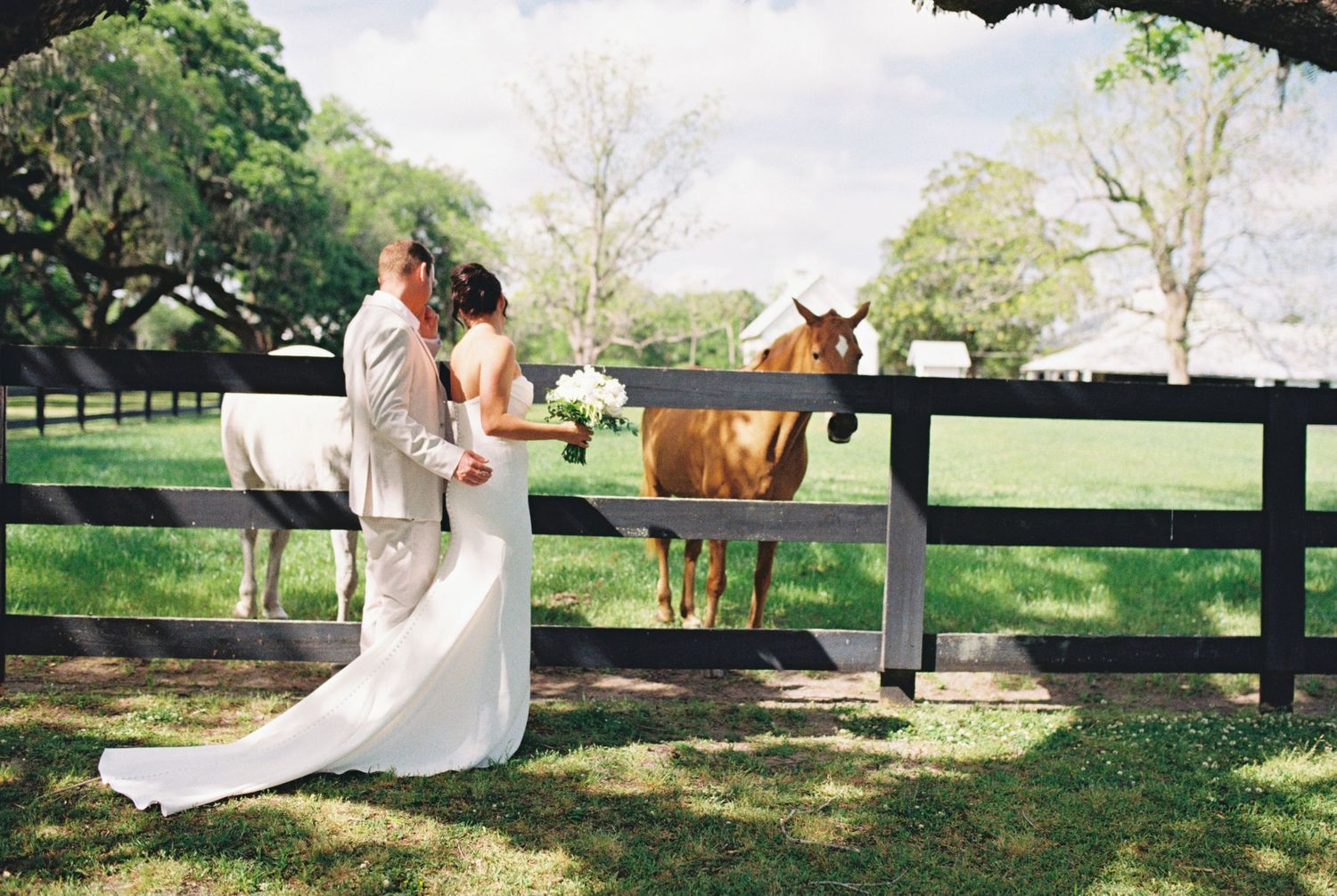 A couple embraces by a fence while horses watch during their countryside wedding.