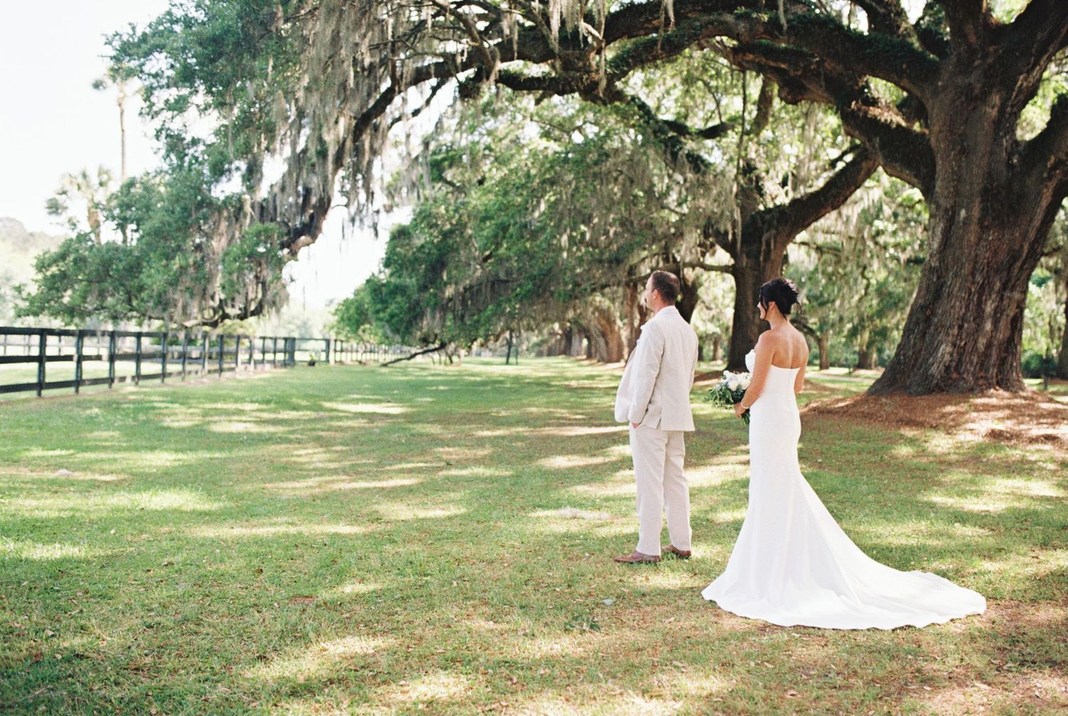Elegant wedding couple standing beneath Spanish moss draped oak trees.