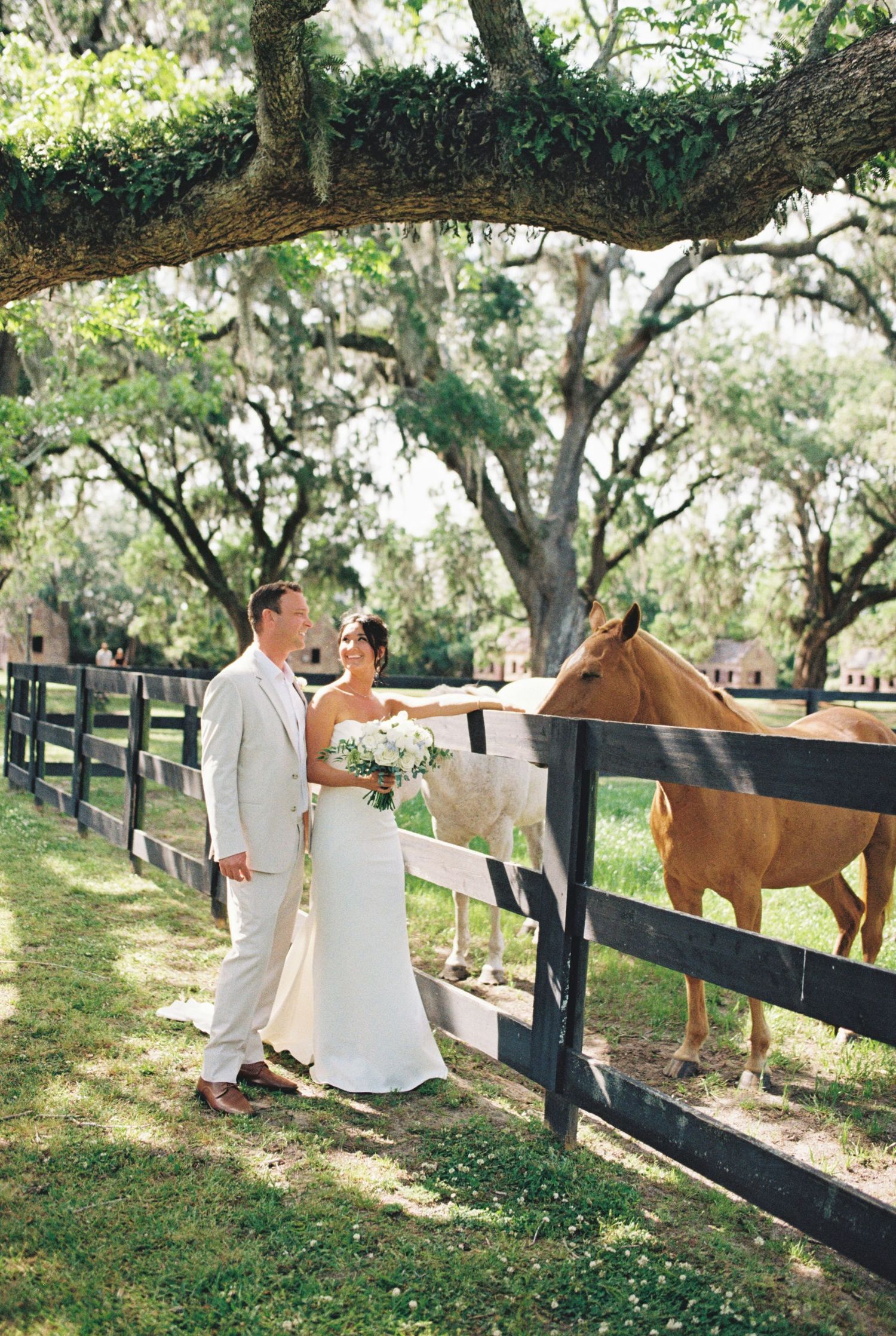 Wedding couple in white attire greet a curious brown horse at a rustic fence.