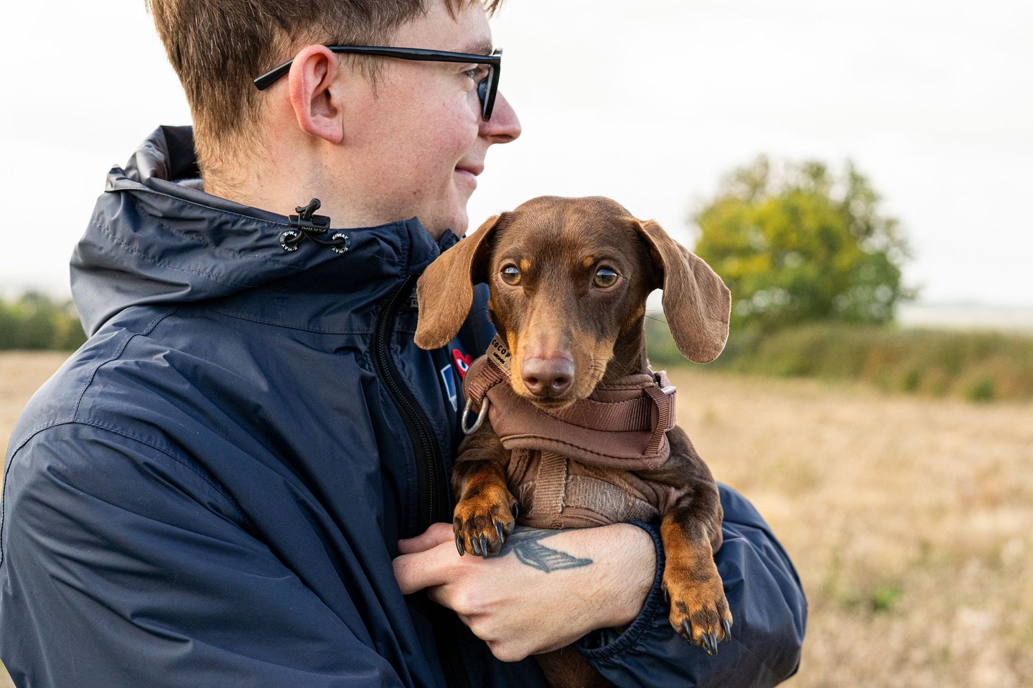 A chocolate dachshund puppy being cradled lovingly in someone's arms outdoors.