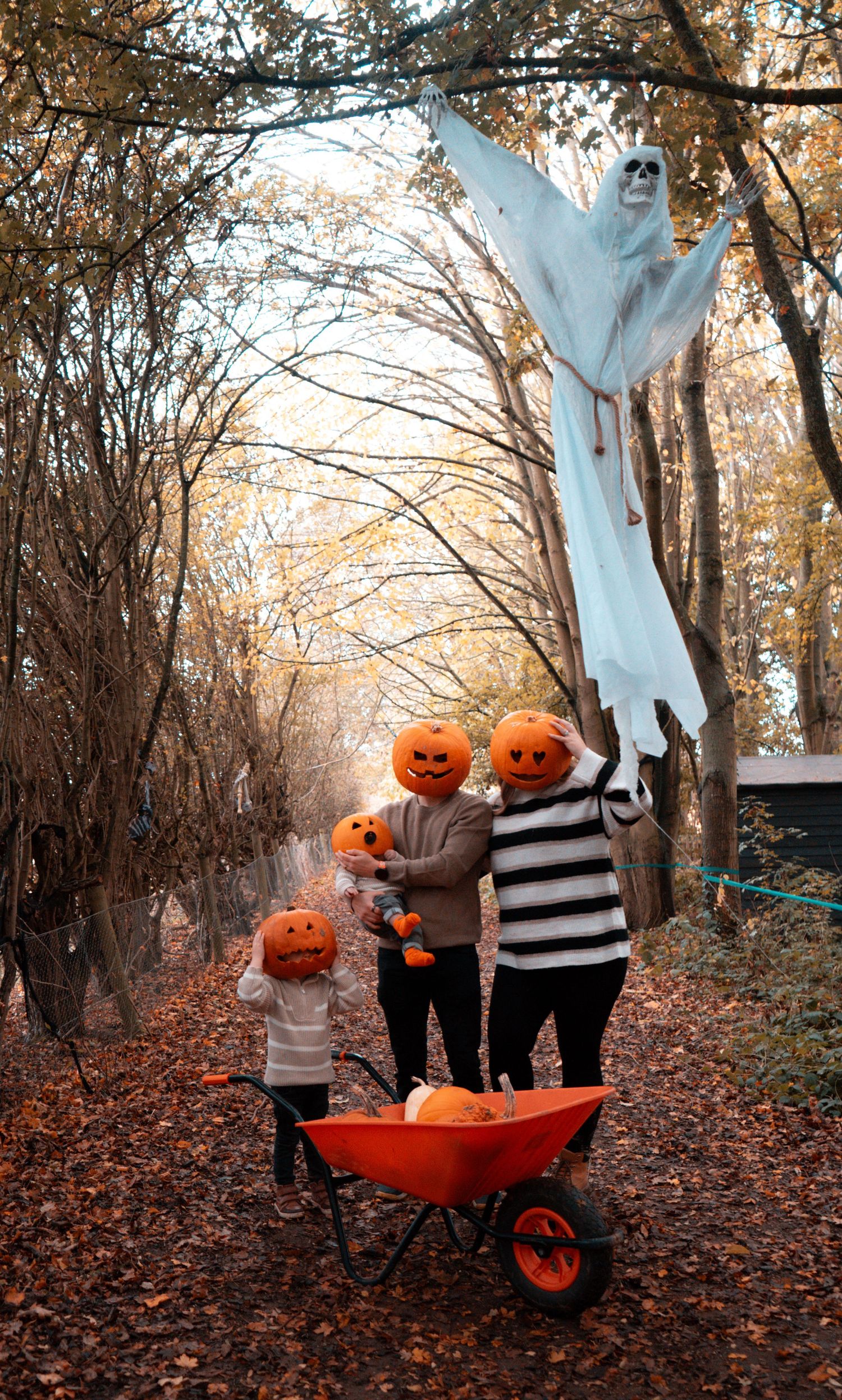 Halloween decorations with pumpkins and ghosts arranged in a red wheelbarrow along a wooded autumn path.