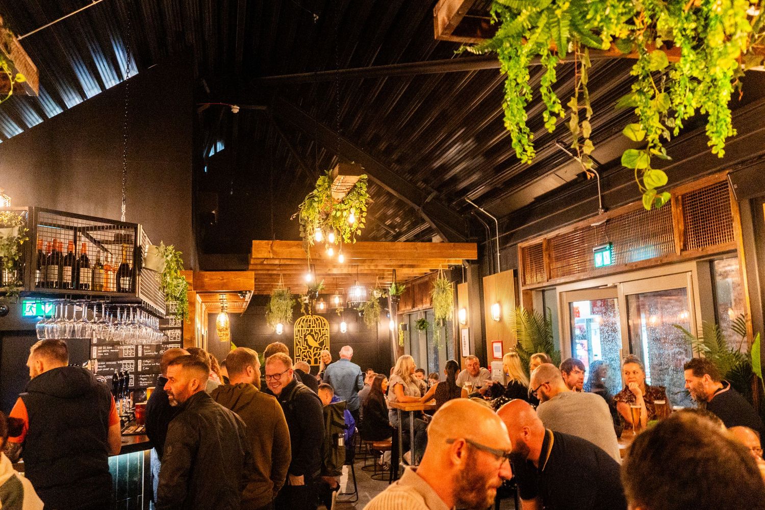 Panoramic view of a bustling bar interior with warm lighting and hanging plants.