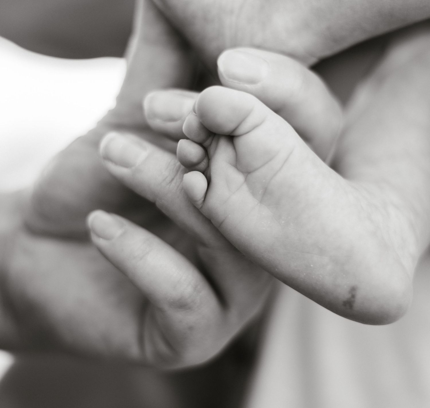 Close-up black and white image of a baby's tiny hand being held by adult fingers.