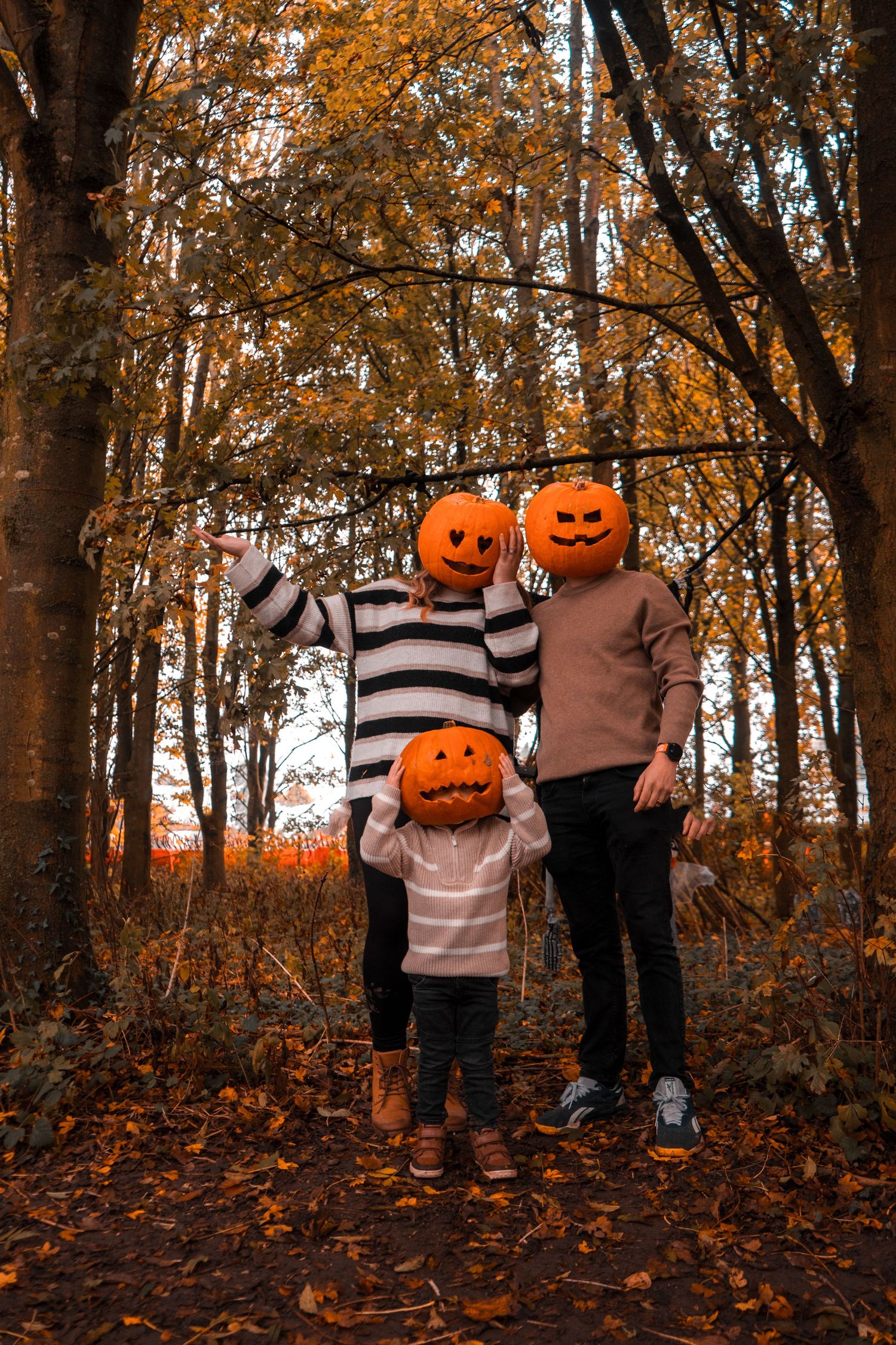 Carved pumpkins among autumn trees with orange and brown leaves.