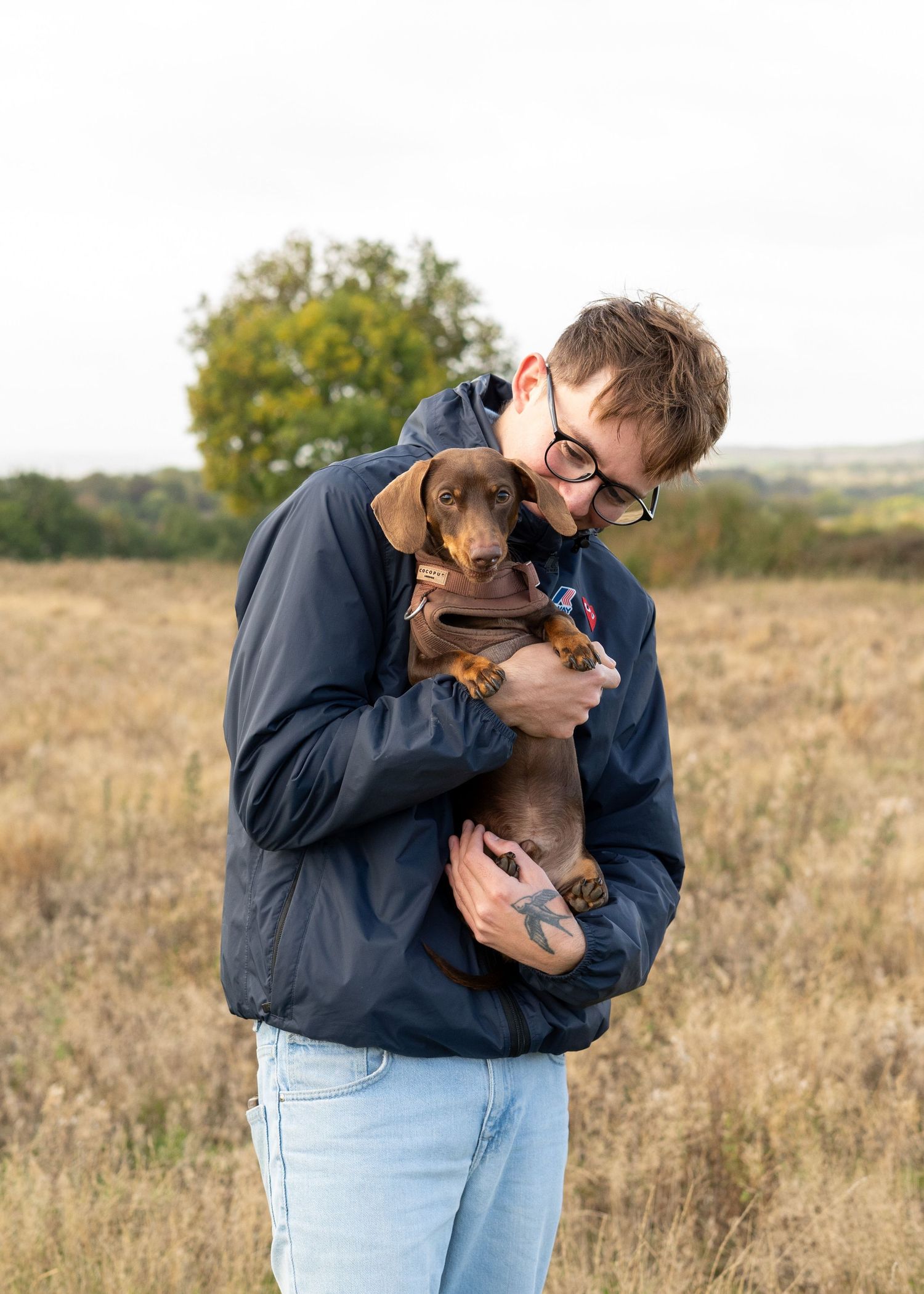 A small brown dachshund getting kisses while being held in a navy jacket outdoors.