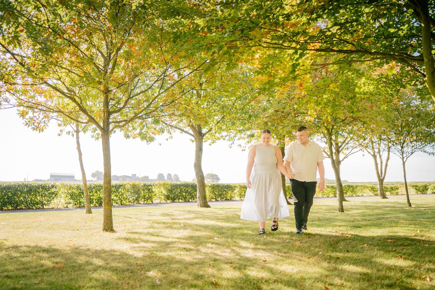Sunlit trees create a natural archway in a serene park setting.