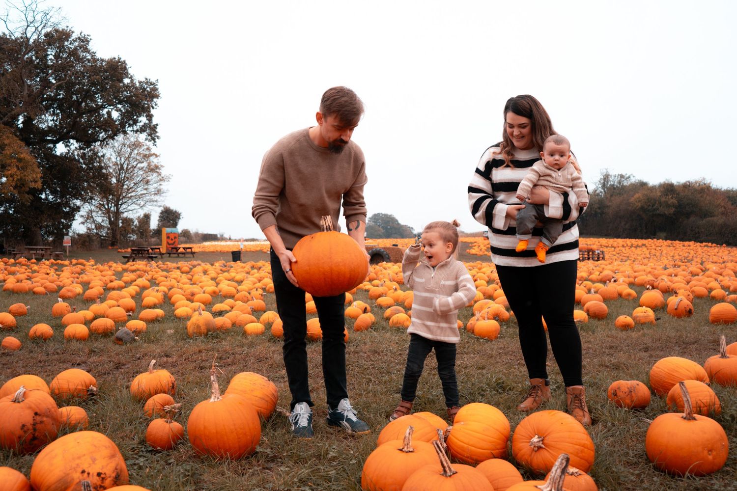 Panoramic view of a pumpkin patch with people exploring the field during autumn.